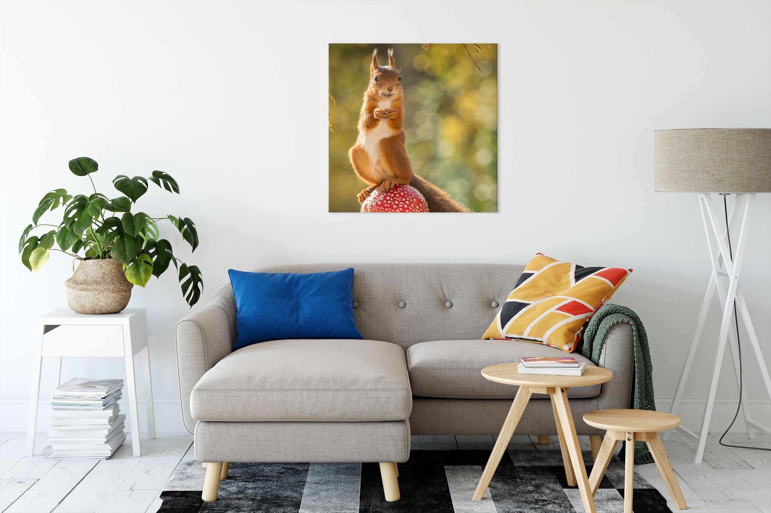 Fliegenpilz (1 Leinwandbild Eichhörnchen inkl. fertig St), Eichhörnchen auf auf bespannt, Fliegenpilz, Zackenaufhänger Leinwandbild Pixxprint