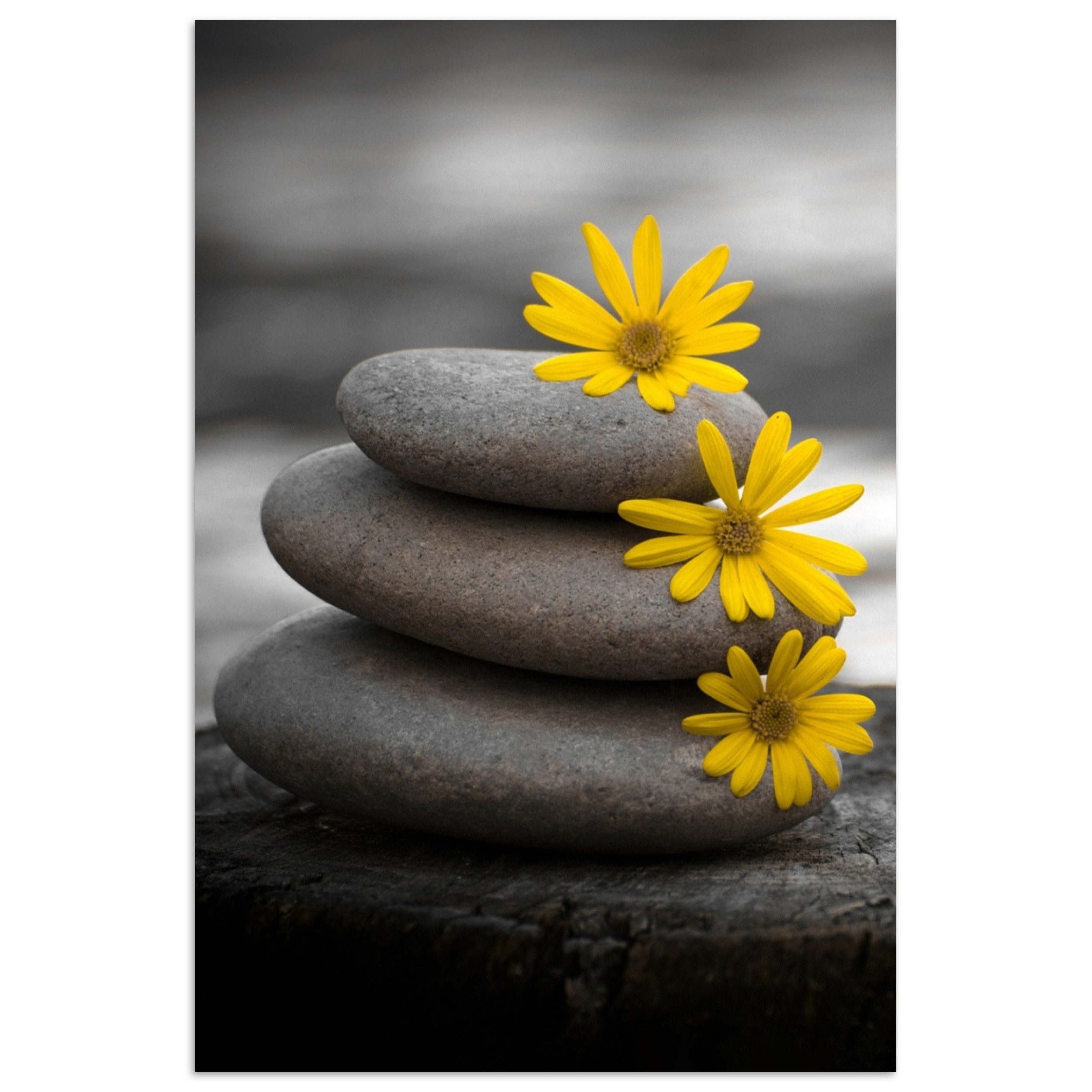 MuchoWow Poster Zen-Steine - Blumen - günstig online kaufen