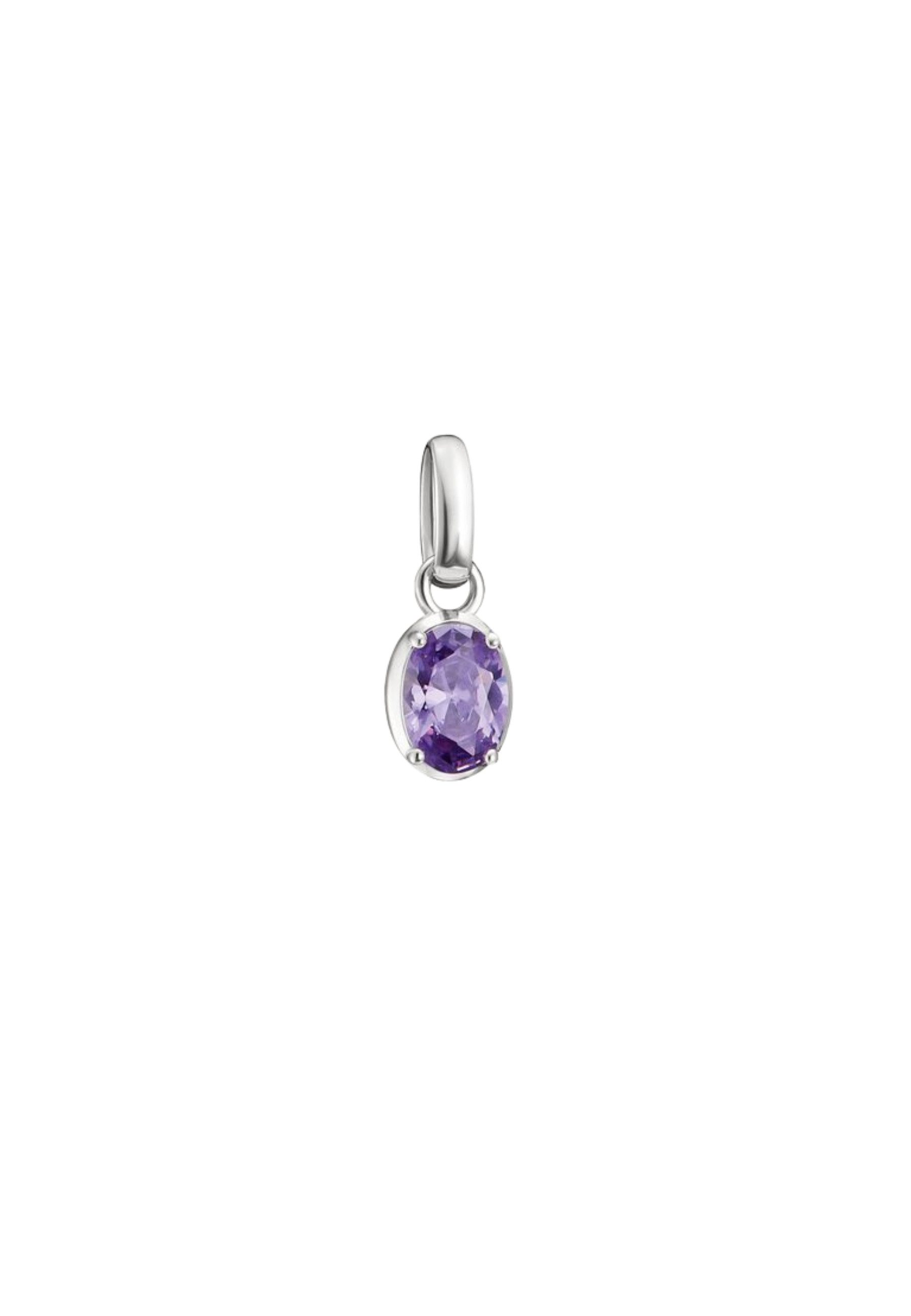 THOMAS SABO Kettenanhänger Silberanhänger Charm Geburtsstein Februar Connect (Set)