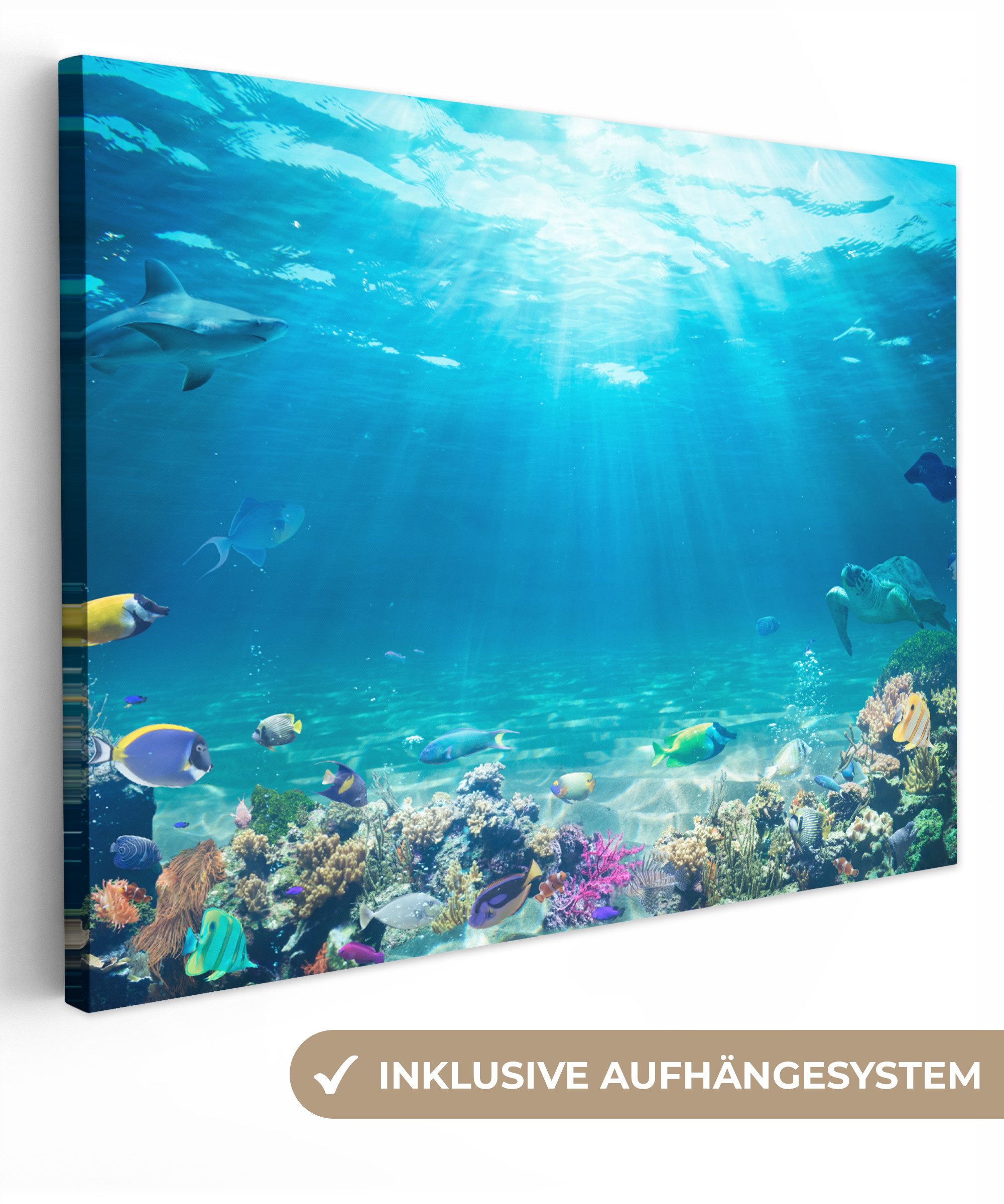 OneMillionCanvasses® Leinwandbild Unterwasserwelt - Meerestiere - Wasser - Korallen - Blau, (1 St), Wandbild Leinwandbilder, Aufhängefertig, Wanddeko 40x30 cm