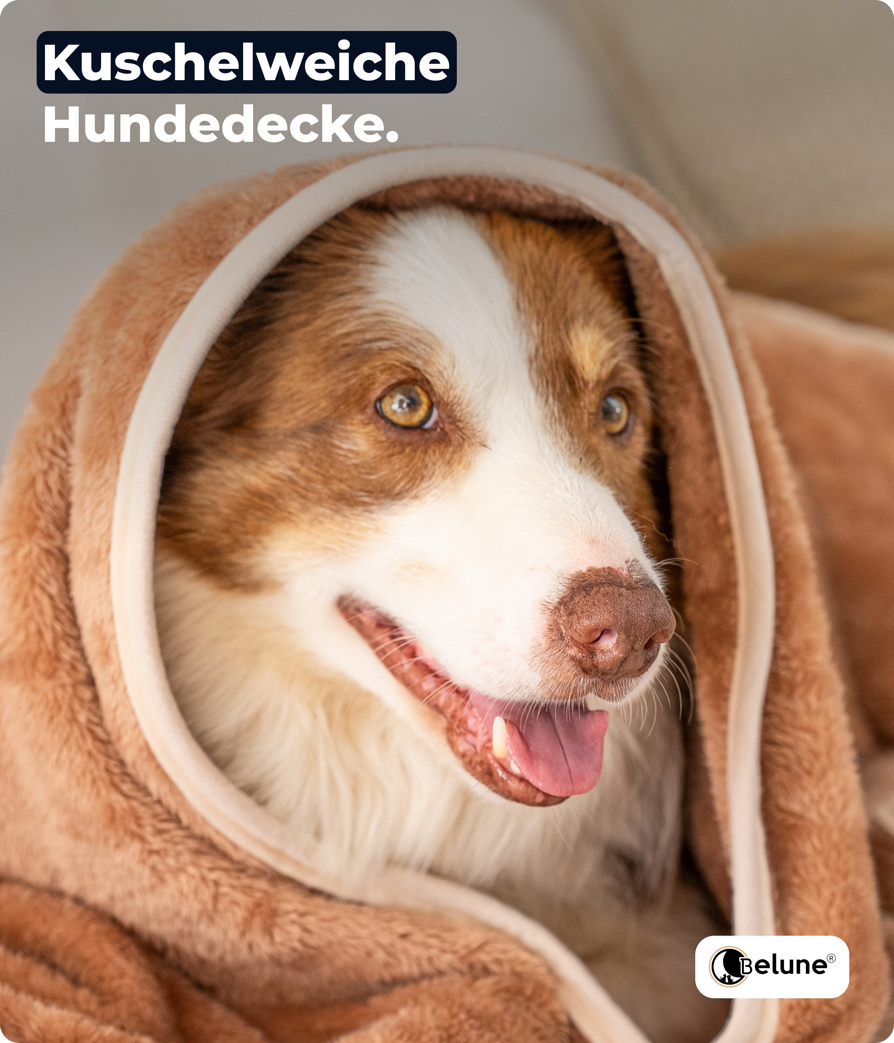 Belune Tierdecke Deluxe - Kuschelig weich - extra gemütlich - Deutsche Marke, vegane Materialien, verschiedene Größen und Farben