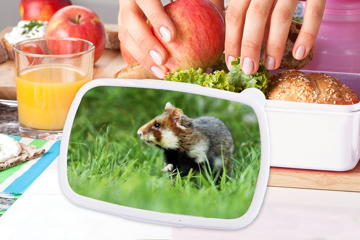 MuchoWow Lunchbox Hamster läuft vorsichtig Kunststoff, Mädchen Kinder Grasfeld, und Jungs für weiß (2-tlg), Brotbox ein durch und Erwachsene, für Brotdose