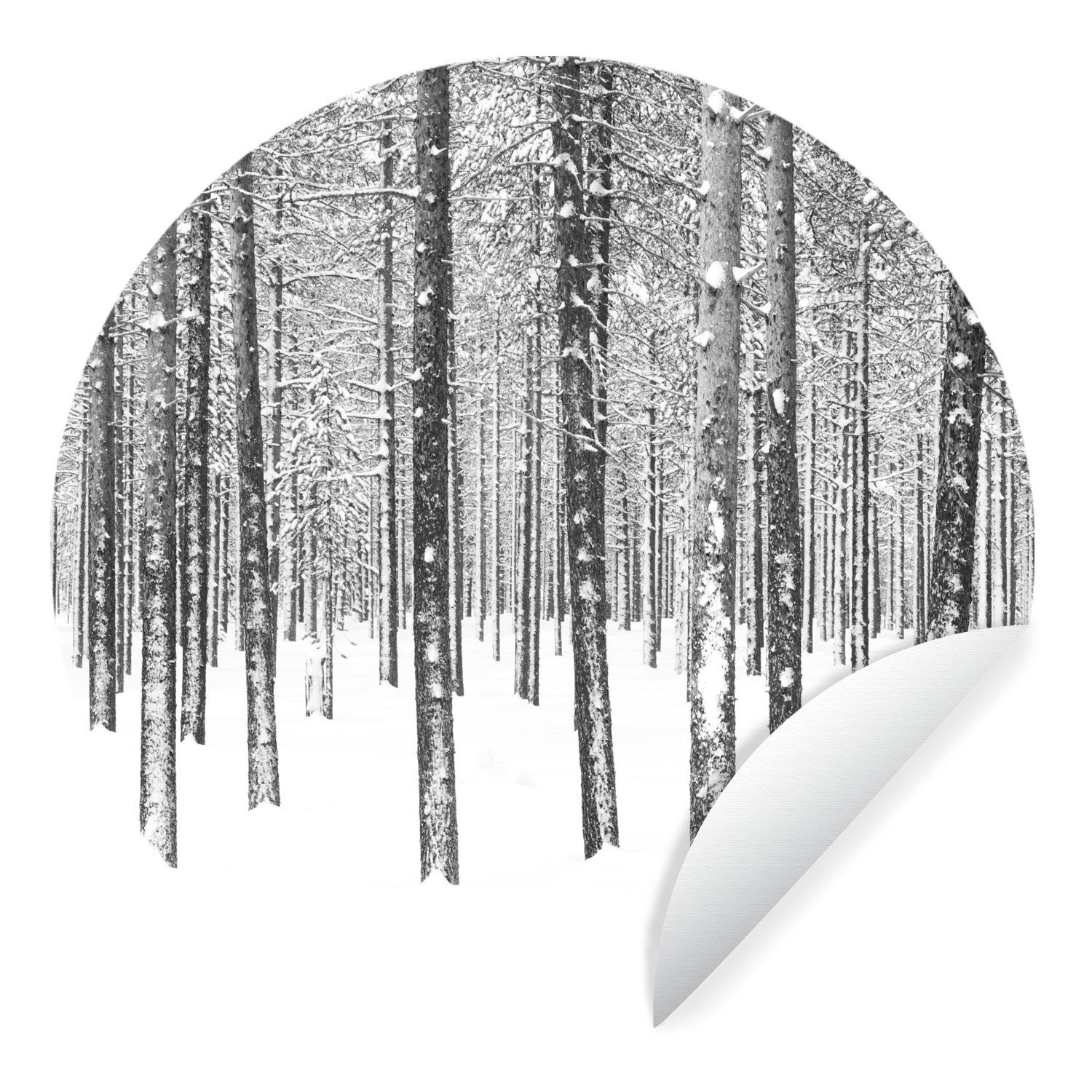MuchoWow Wandsticker Tannenbäume im Schnee (1 St), Tapetenkreis für Kinderzimmer, Tapetenaufkleber, Rund, Wohnzimmer
