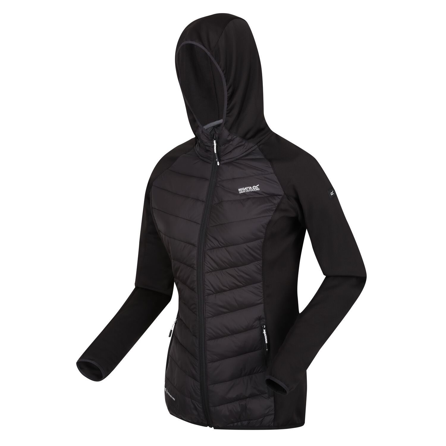 Regatta Steppjacke Softshelljacke Andreson VIII Hybrid günstig online kaufen
