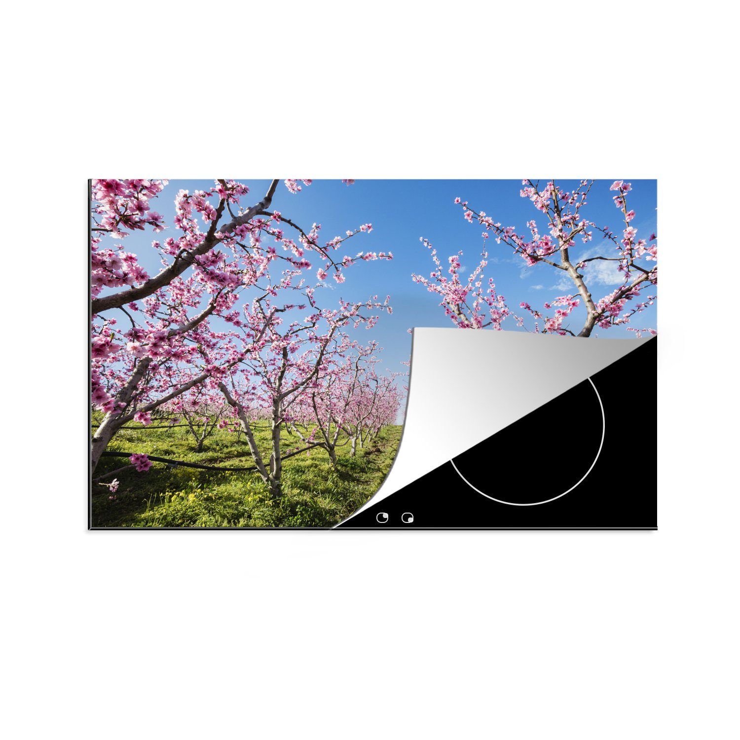 MuchoWow Herdblende-/Abdeckplatte Obstbäume - Kirsche - Blüte, Vinyl, (1 tlg), 81x52 cm, Induktionskochfeld Schutz für die küche, Ceranfeldabdeckung
