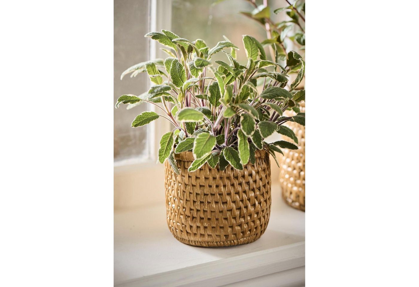 Thumbnail - Ib Laursen Blumentopf Ib Laursen Übertopf aus Naturfasern Jute (10,5cm)