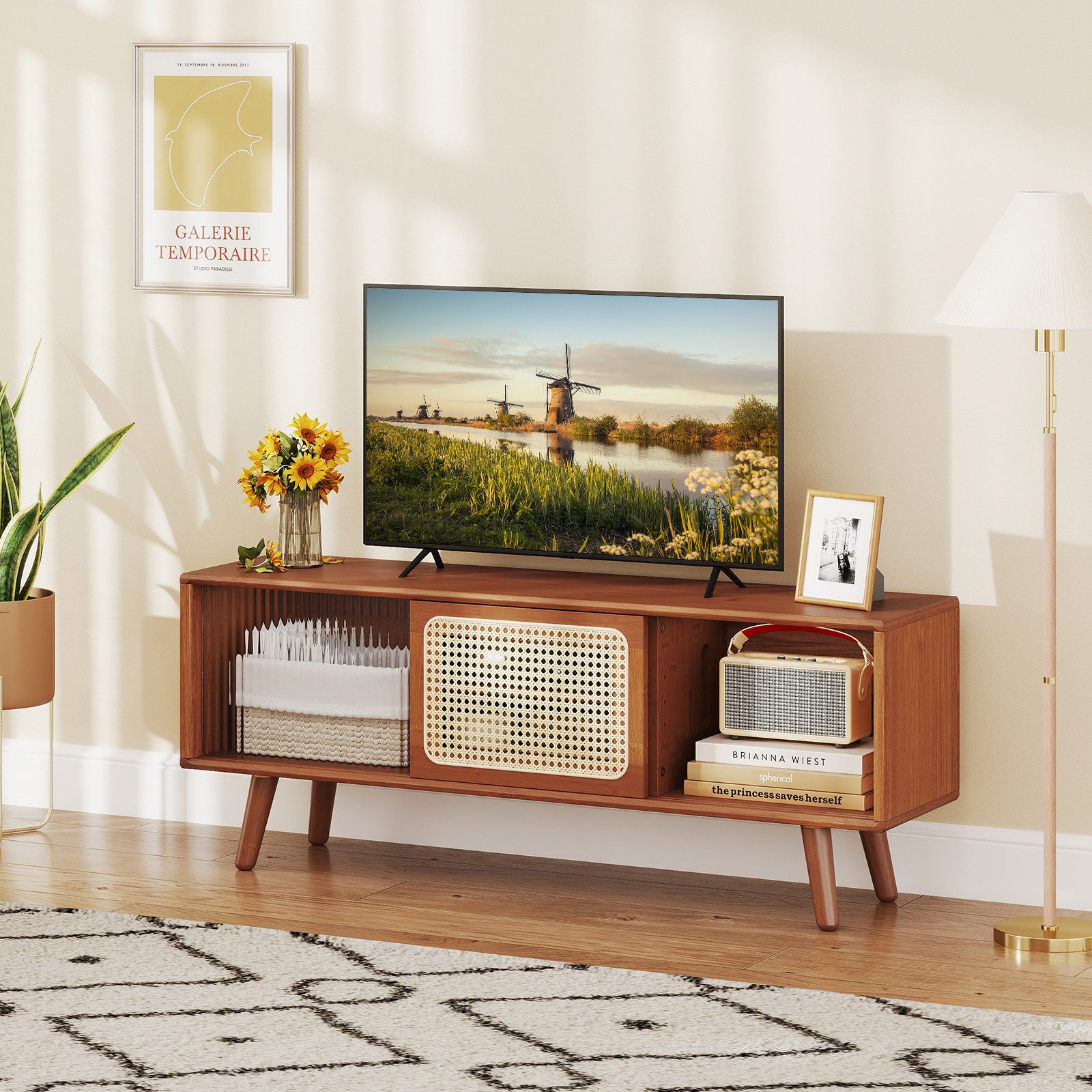 COSTWAY TV-Schrank günstig online kaufen