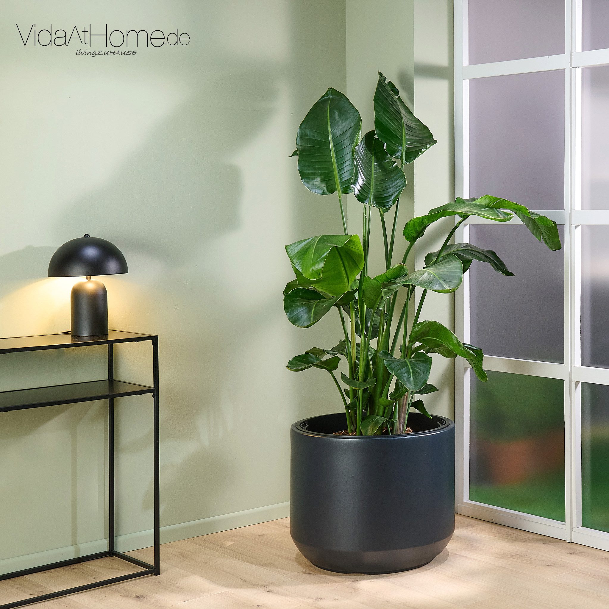 VidaAtHome.de Blumentopf Pflanzgefäß HERA ø 57er, Großer Pflanztopf mit Pfl günstig online kaufen