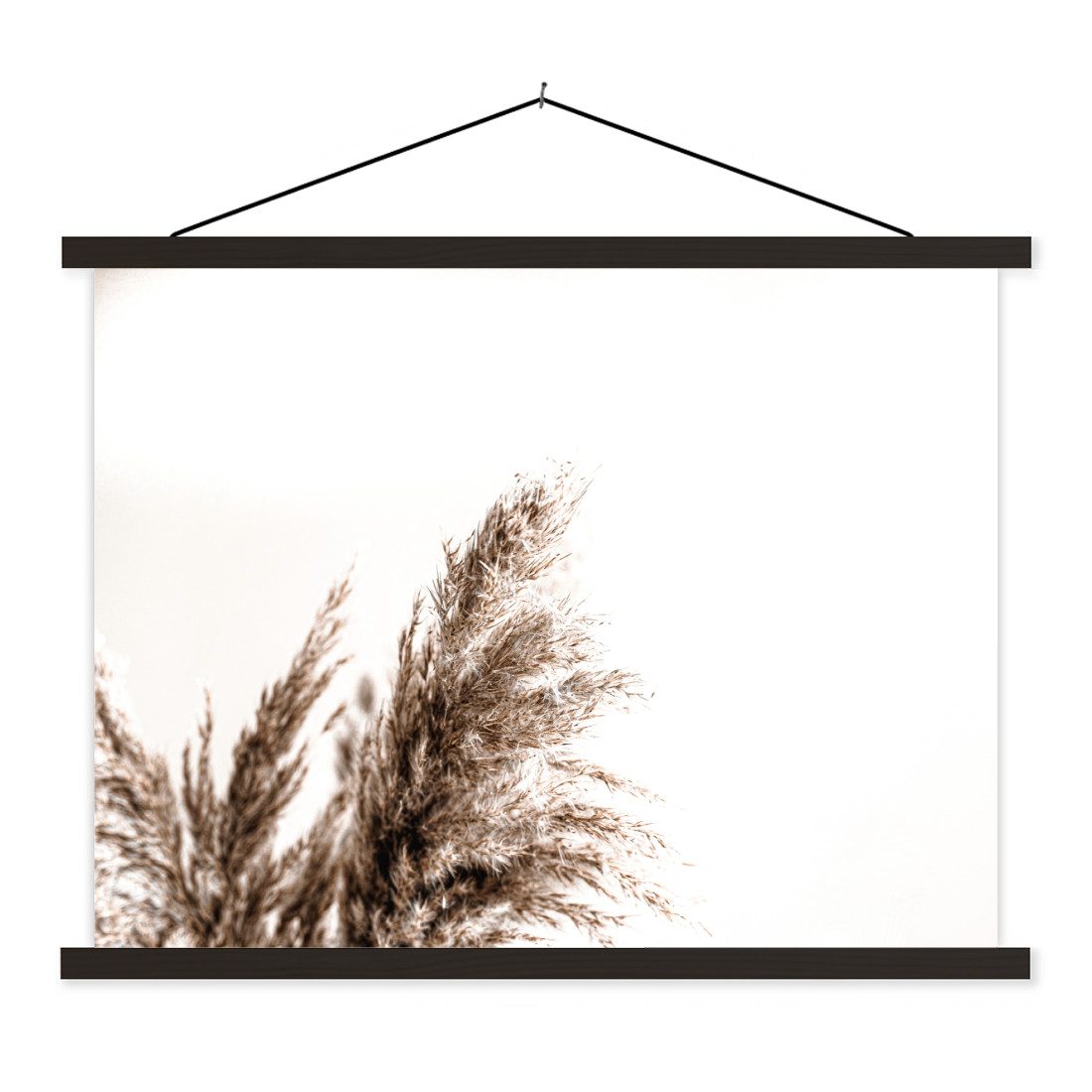 Poster Pampas-Federn - Natur - Pampasgräser