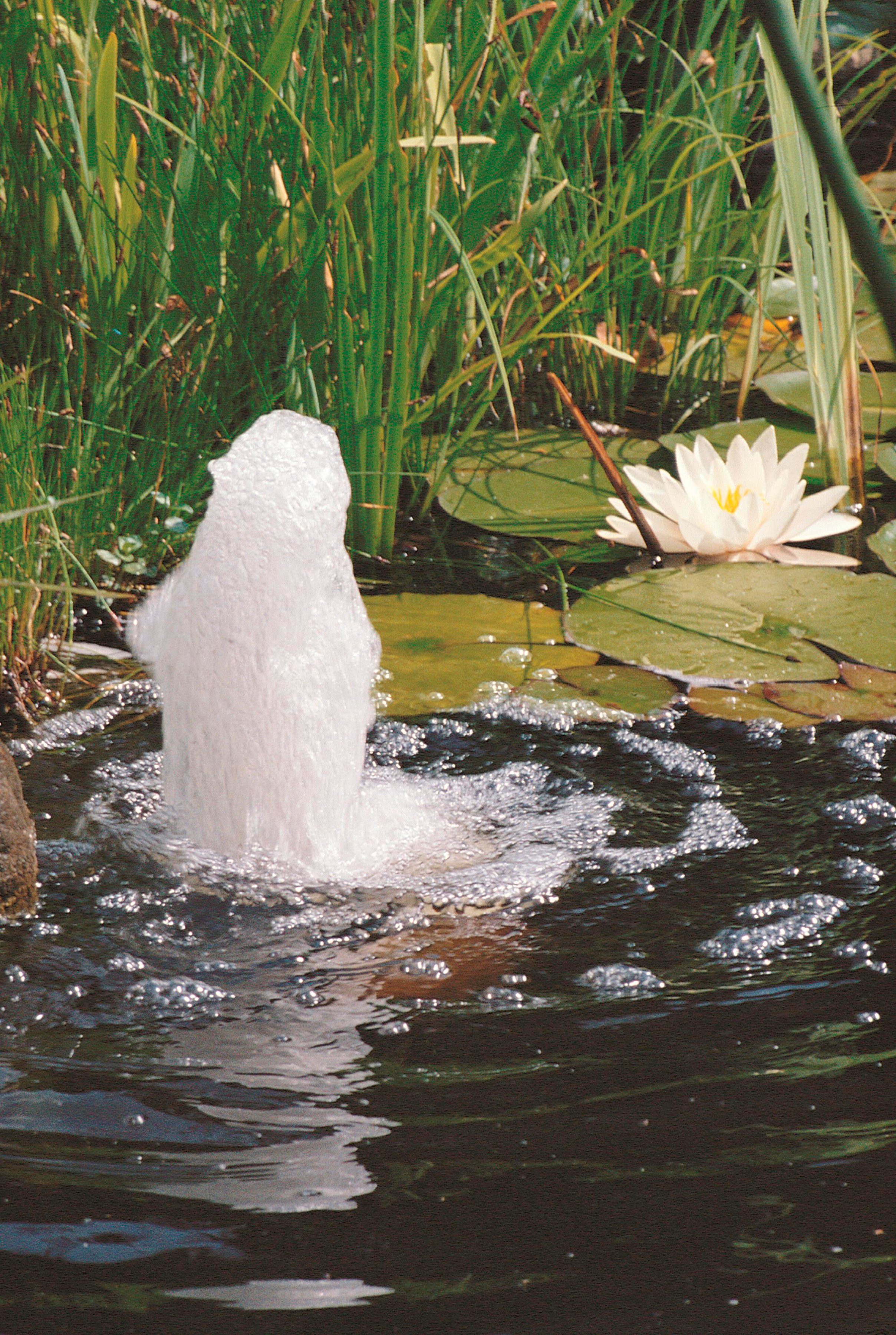 Springbrunnenpumpe Elimax 2500