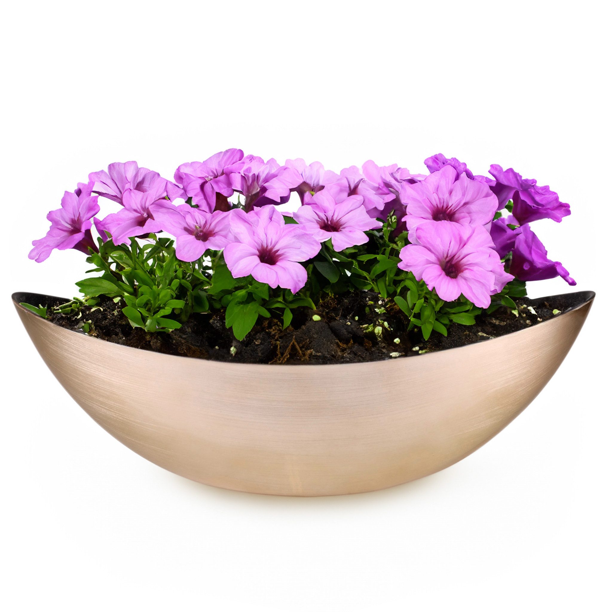 matches21 HOME & HOBBY Blumentopf Große Vintage Outdoor Pflanzschale oval 55 cm gold-farben (1 St), Längliche Deko-Schale als wetterfeste Garten-Deko Blumen-Schale