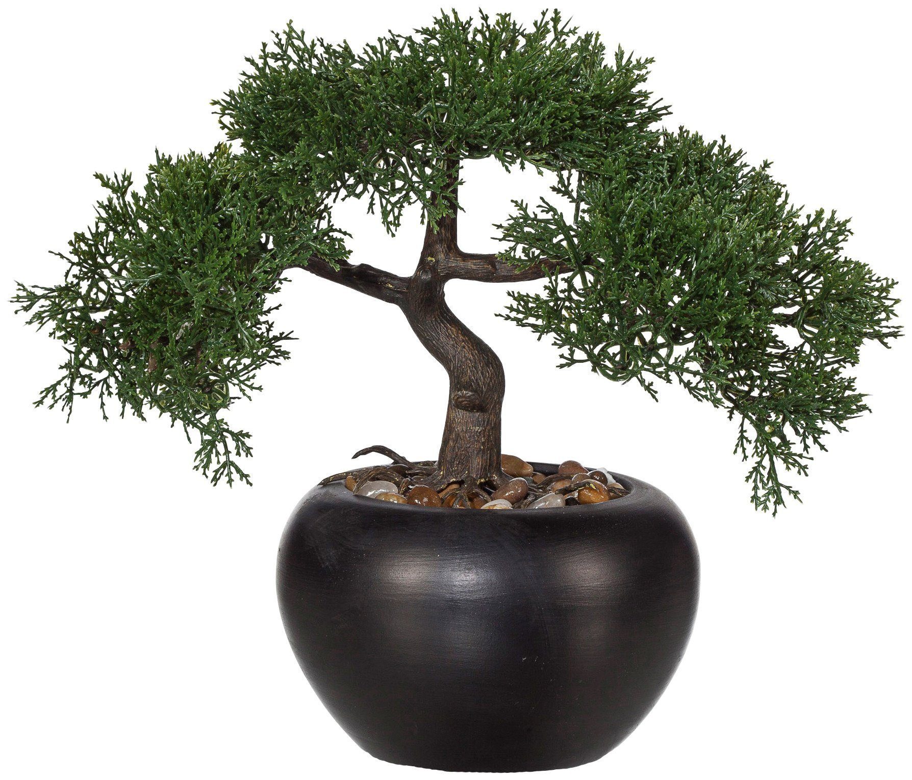 Kunstbonsai »Bonsai Zeder« Bonsai, Creativ green, Höhe 26 cm online