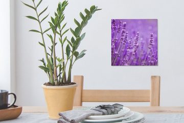 OneMillionCanvasses® Leinwandbild Lavendel - Nahaufnahme - Blumen - Lila, (1 St), Leinwand Bilder für Wohnzimmer Schlafzimmer