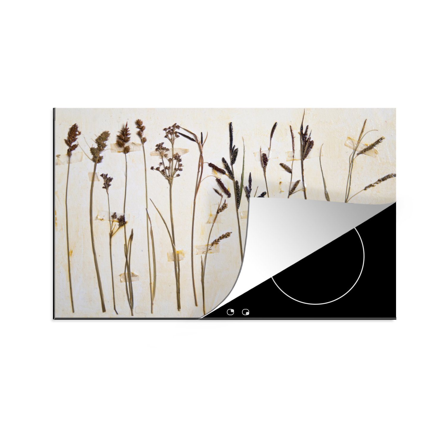 MuchoWow Herdblende-/Abdeckplatte Herbarium - Getrocknete Blumen - Flora, Vinyl, (1 tlg), 81x52 cm, Induktionskochfeld Schutz für die küche, Ceranfeldabdeckung