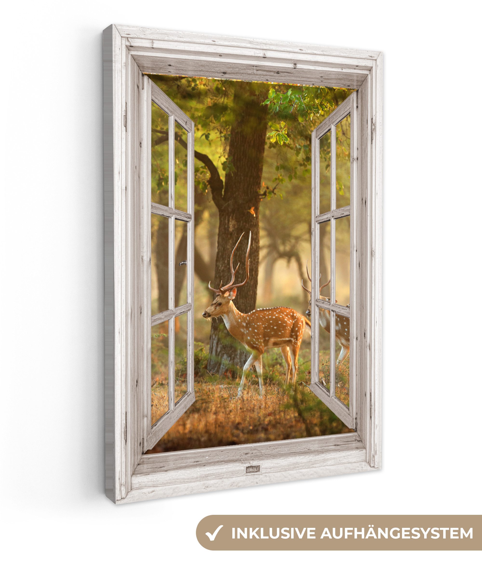 OneMillionCanvasses® Leinwandbild Hirsche - Wald - Herbst - Waldtiere - Nat günstig online kaufen