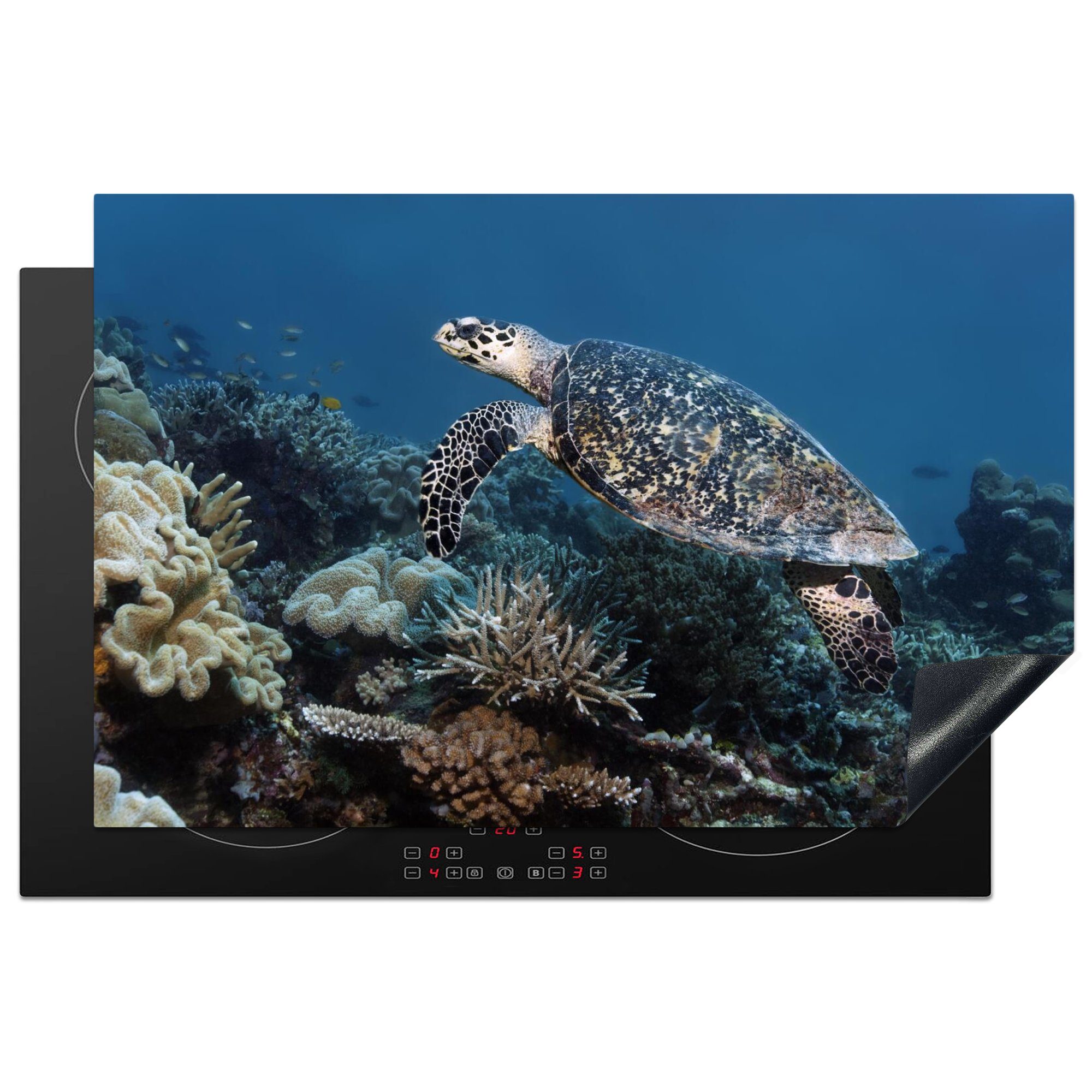 MuchoWow Herdblende-/Abdeckplatte Meeresschildkröte schwimmt auf dem Grund, Vinyl, (1 tlg), 81x52 cm, Induktionskochfeld Schutz für die küche, Ceranfeldabdeckung