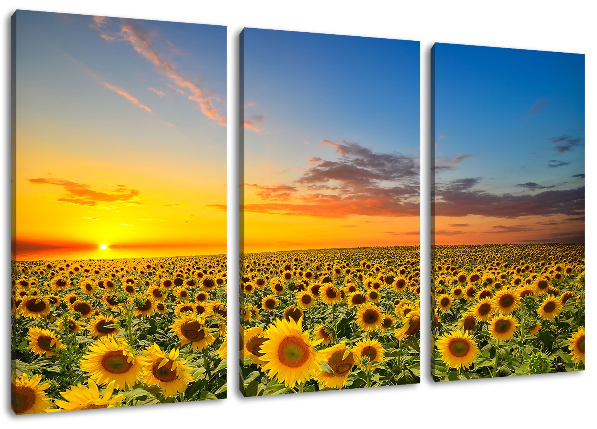 Pixxprint Leinwandbild Sonnenuntergang Sonnenblumen, Sonnenuntergang Sonnenblumen 3Teiler (120x80cm) (1 St), Leinwandbild fertig bespannt, inkl. Zackenaufhänger