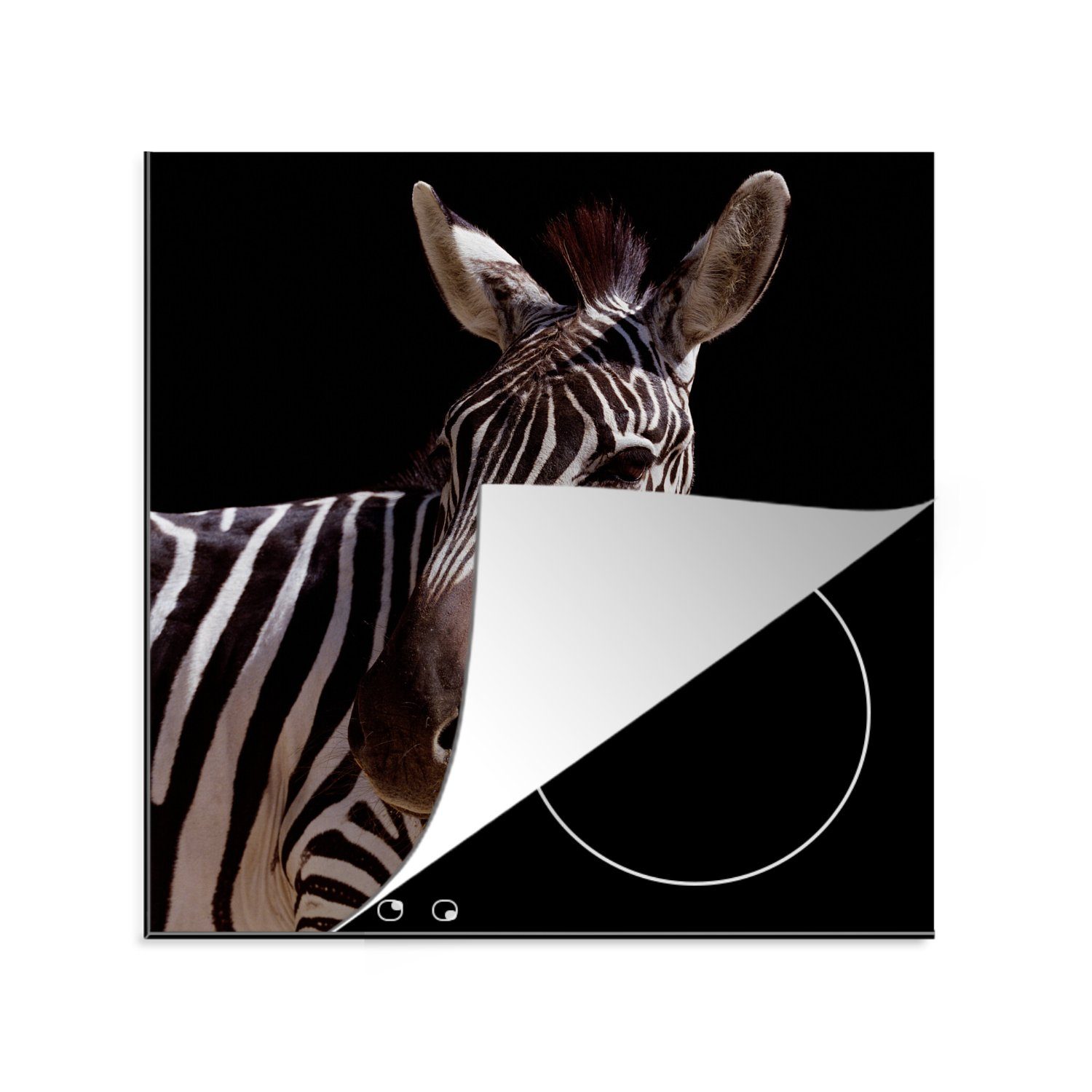 MuchoWow Herdblende-/Abdeckplatte Neugieriges Zebra auf schwarzem Hintergrund, Vinyl, (1 tlg), 78x78 cm, Ceranfeldabdeckung, Arbeitsplatte für küche