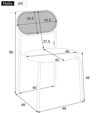 Flieks Esszimmerstuhl (2 St), 2er Set Rattanstuhl Polsterstuhl Kunstleder Wohnzimmerstuhl, Metallbeine