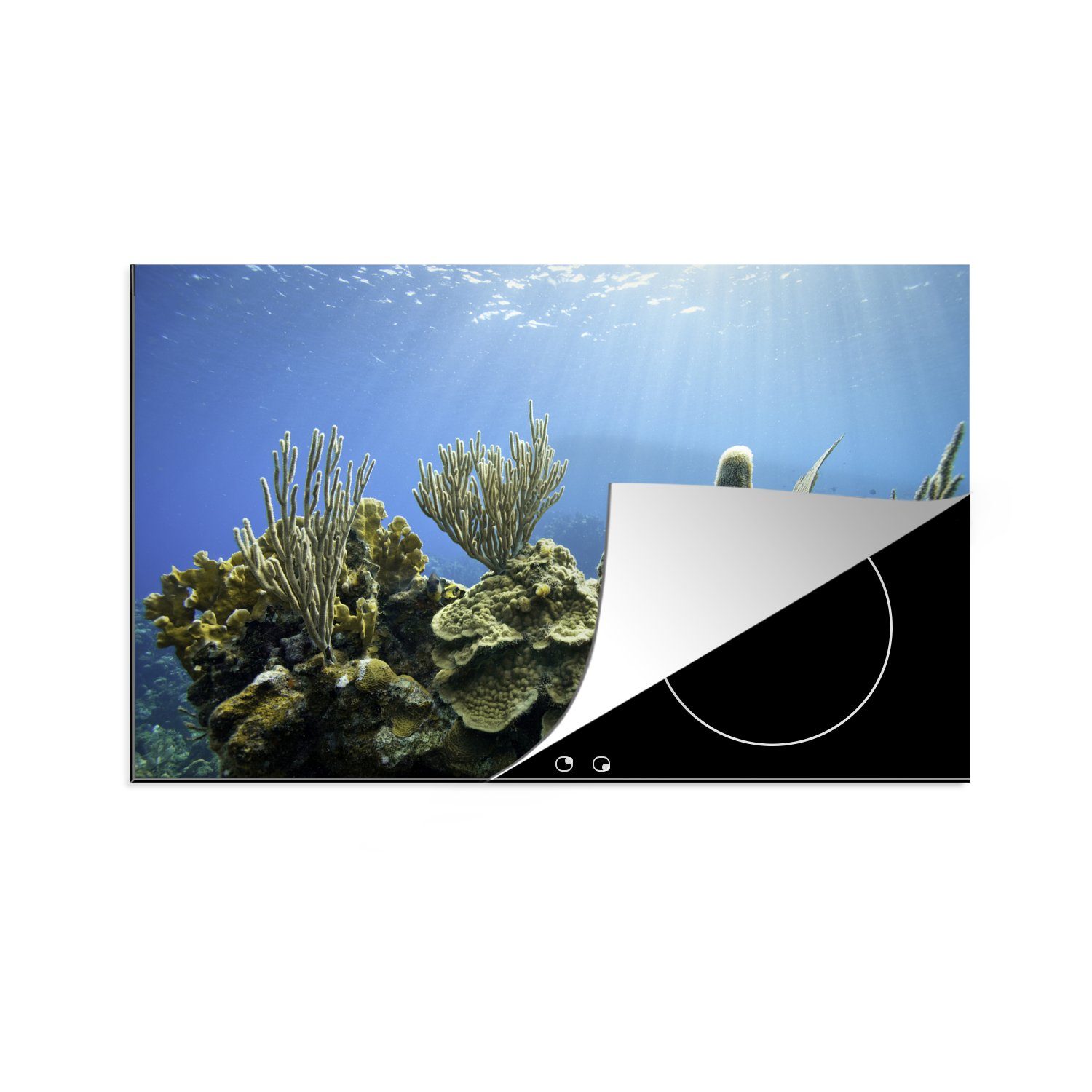 MuchoWow Herdblende-/Abdeckplatte Korallen in einem klaren Meer, Vinyl, (1 tlg), 81x52 cm, Induktionskochfeld Schutz für die küche, Ceranfeldabdeckung