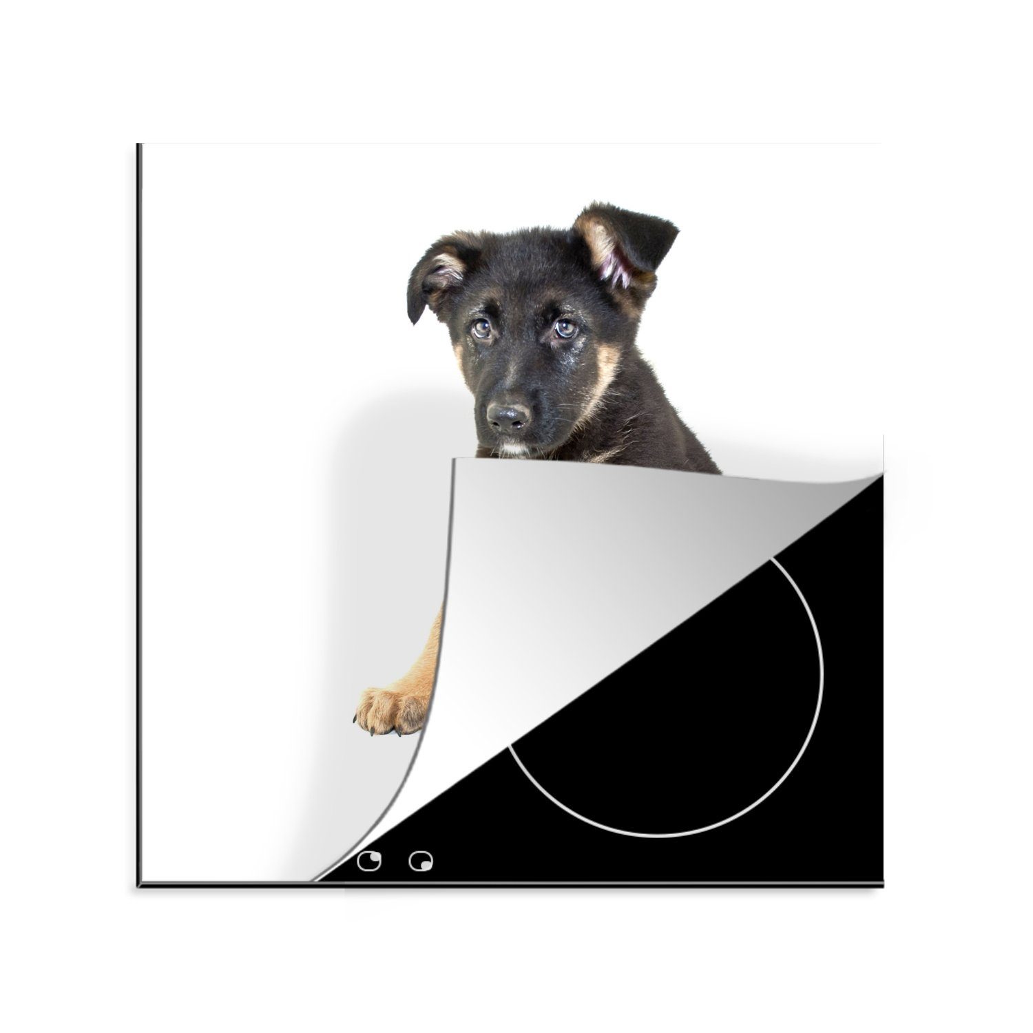 MuchoWow Herdblende-/Abdeckplatte Sitzender Deutscher Schäferhund Welpe, Vinyl, (1 tlg), 78x78 cm, Ceranfeldabdeckung, Arbeitsplatte für küche