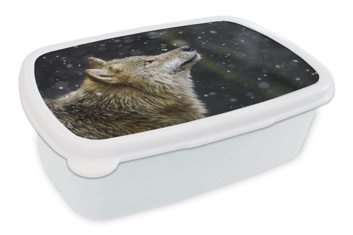 MuchoWow Lunchbox Wolf - Schnee - Braun, Kunststoff, (2-tlg), Brotbox für Kinder und Erwachsene, Brotdose, für Jungs und Mädchen weiß