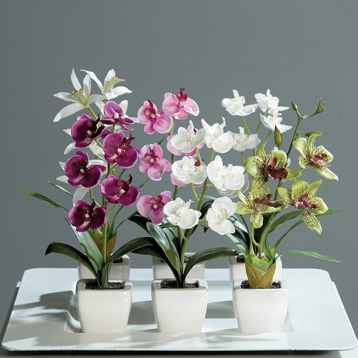 Kunstblume Künstliches Orchideensortiment 6er Set im weißen Topf, mucPlants günstig online kaufen