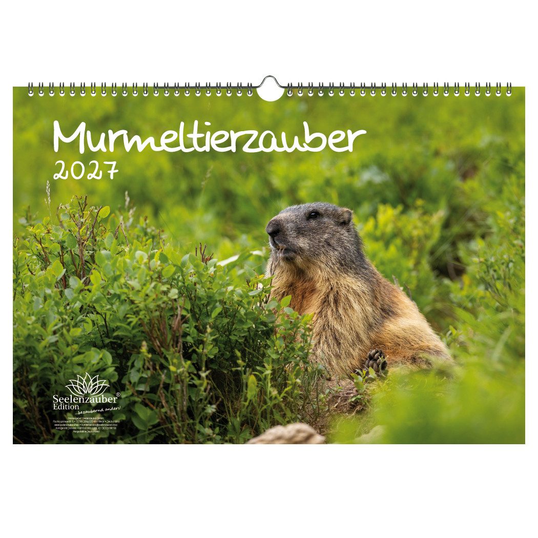 Seelenzauber Wandkalender Murmeltierzauber DIN A3 Kalender für 2027 Murmeltier - Seelenzauber