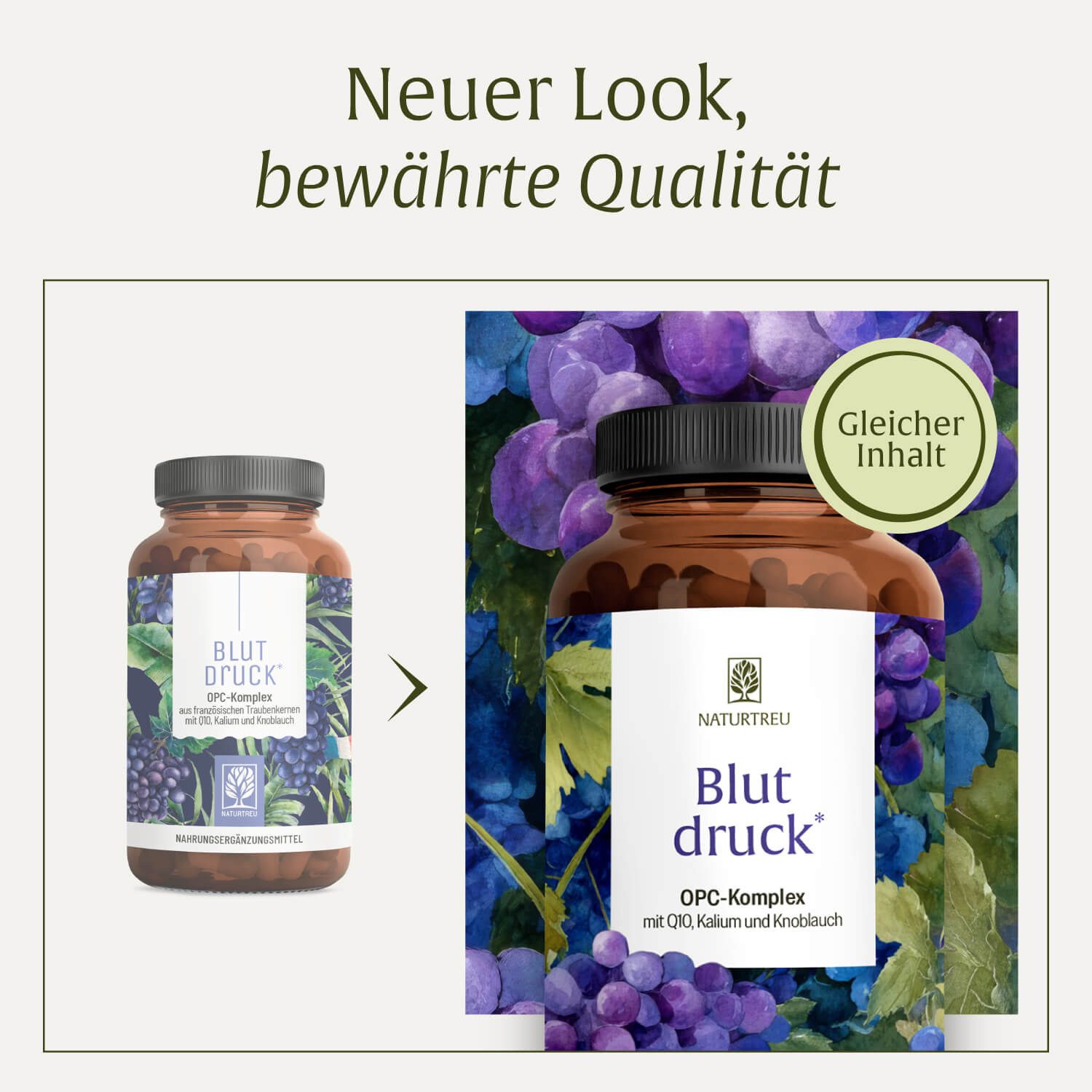 Naturtreu BLUTDRUCK Kapseln, 1 er 90 St., Hochdosiertes OPC (630 mg) aus französischen Traubenkernen, komb…