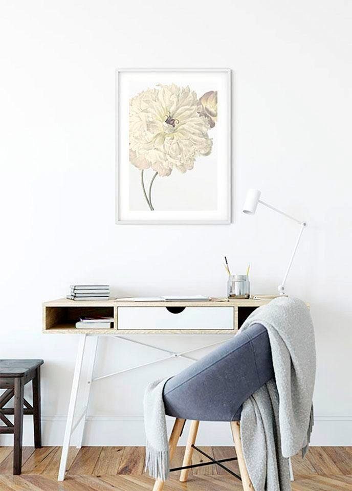 Blumen Komar Schlafzimmer, St), Dahlia, (1 Poster Wohnzimmer Illustration Kinderzimmer,