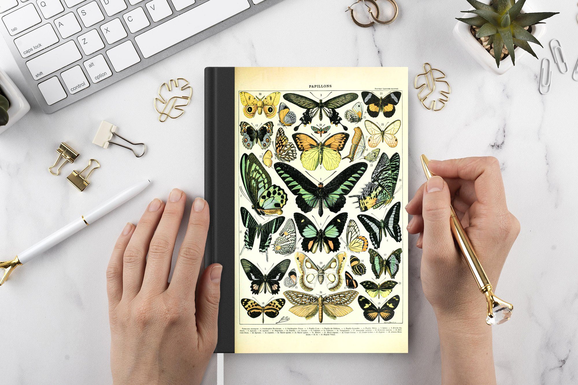 MuchoWow Notizbuch Tiere - Schmetterlinge - Journal, Notizheft, Seiten, A5, Merkzettel, Haushaltsbuch Tagebuch, Grün, 98