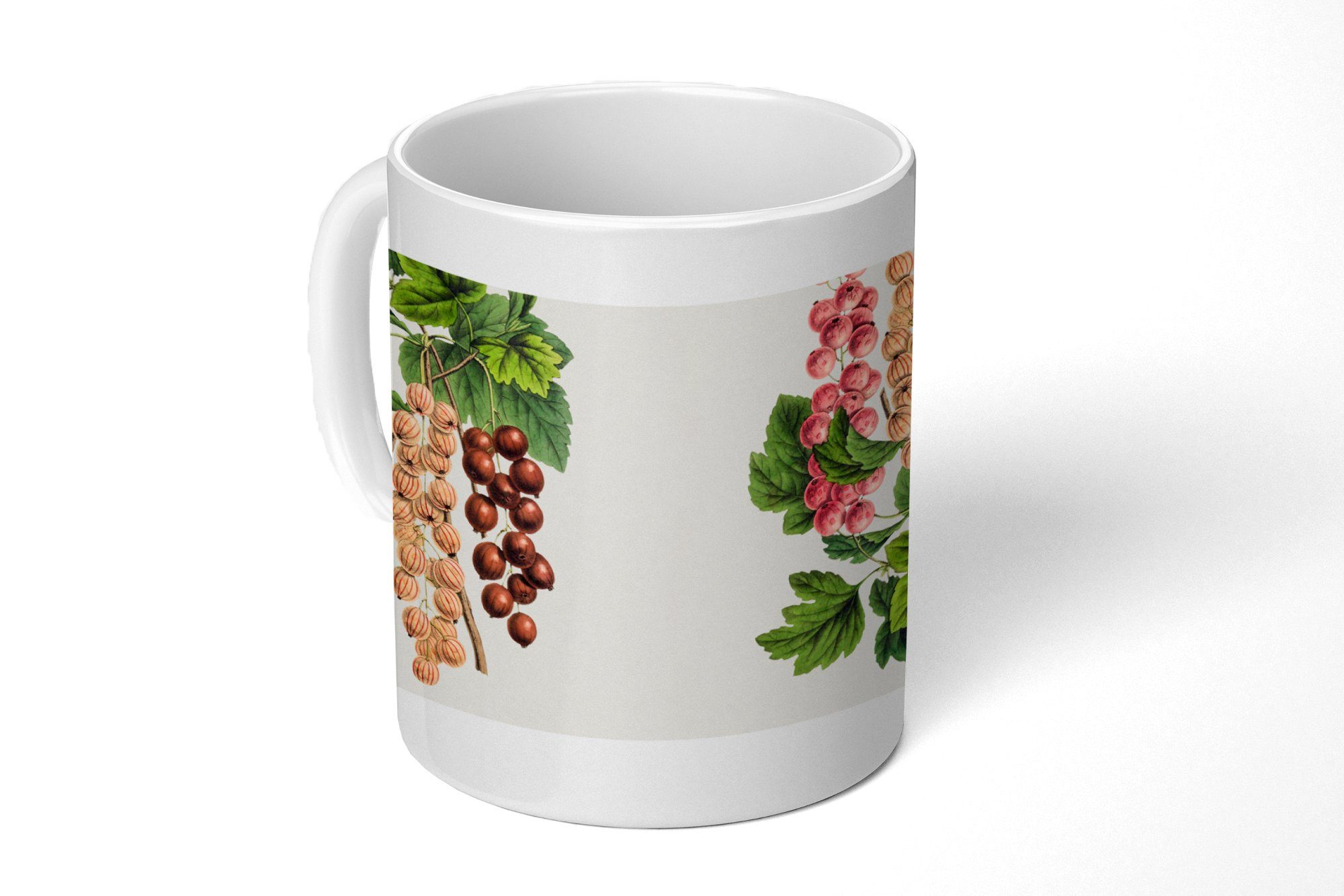 MuchoWow Tasse Beeren - Lebensmittel - Obst, Keramik, Kaffeetassen, Teetasse, Becher, Teetasse, Geschenk | Tassen
