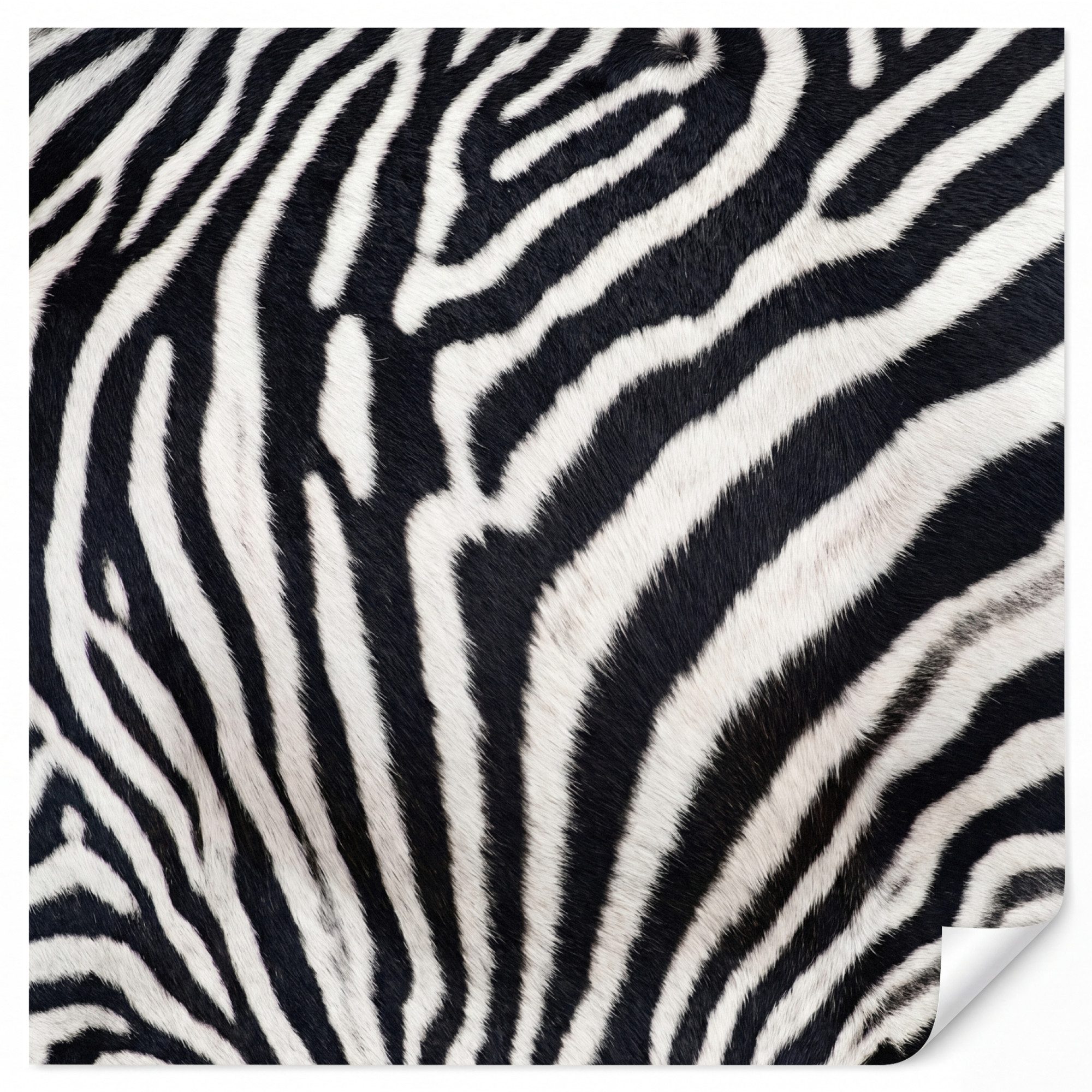 OnlyWow Fototapete Zebra - Mantel - Klassisch - Schwarz - Weiß, Matt, bedruckt, Wandtapete, Modern, Wanddekoration, Vinyl Tapete 220x220cm
