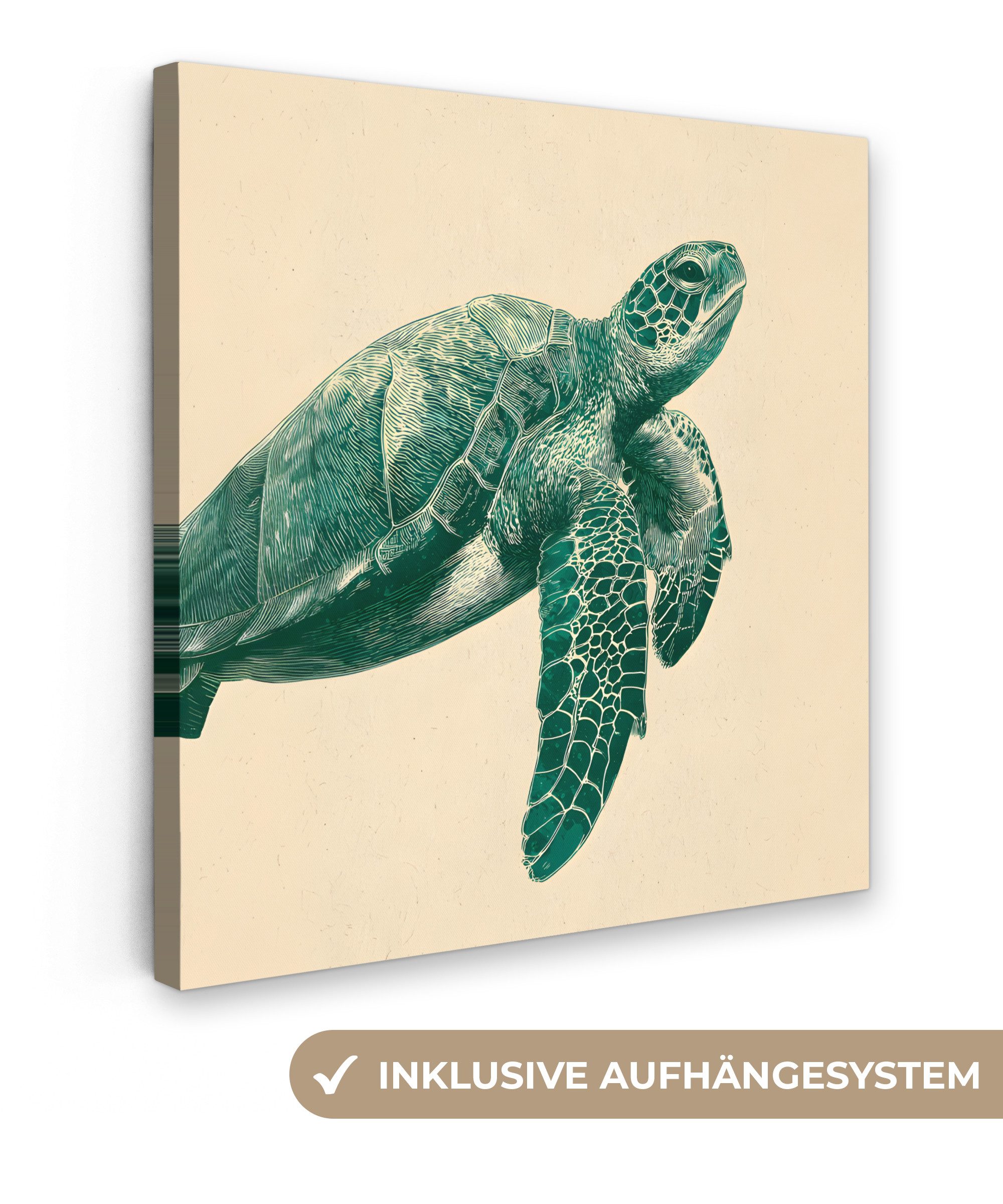 OneMillionCanvasses® Leinwandbild Schildkröte - Elegant - günstig online kaufen