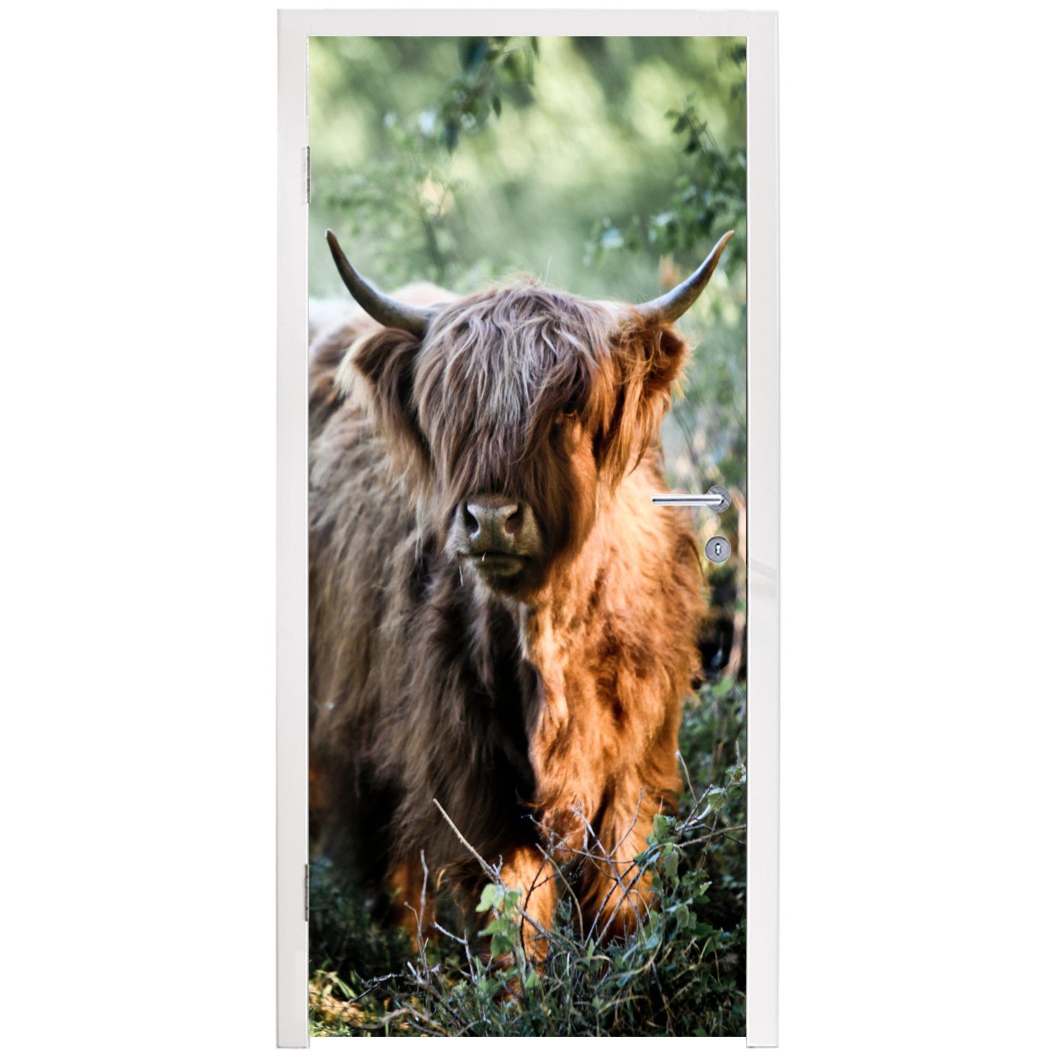 Tür, St), cm Fototapete Türaufkleber, Wald bedruckt, - Matt, Schottische (1 75x205 Highlander Tiere, MuchoWow für - Türtapete