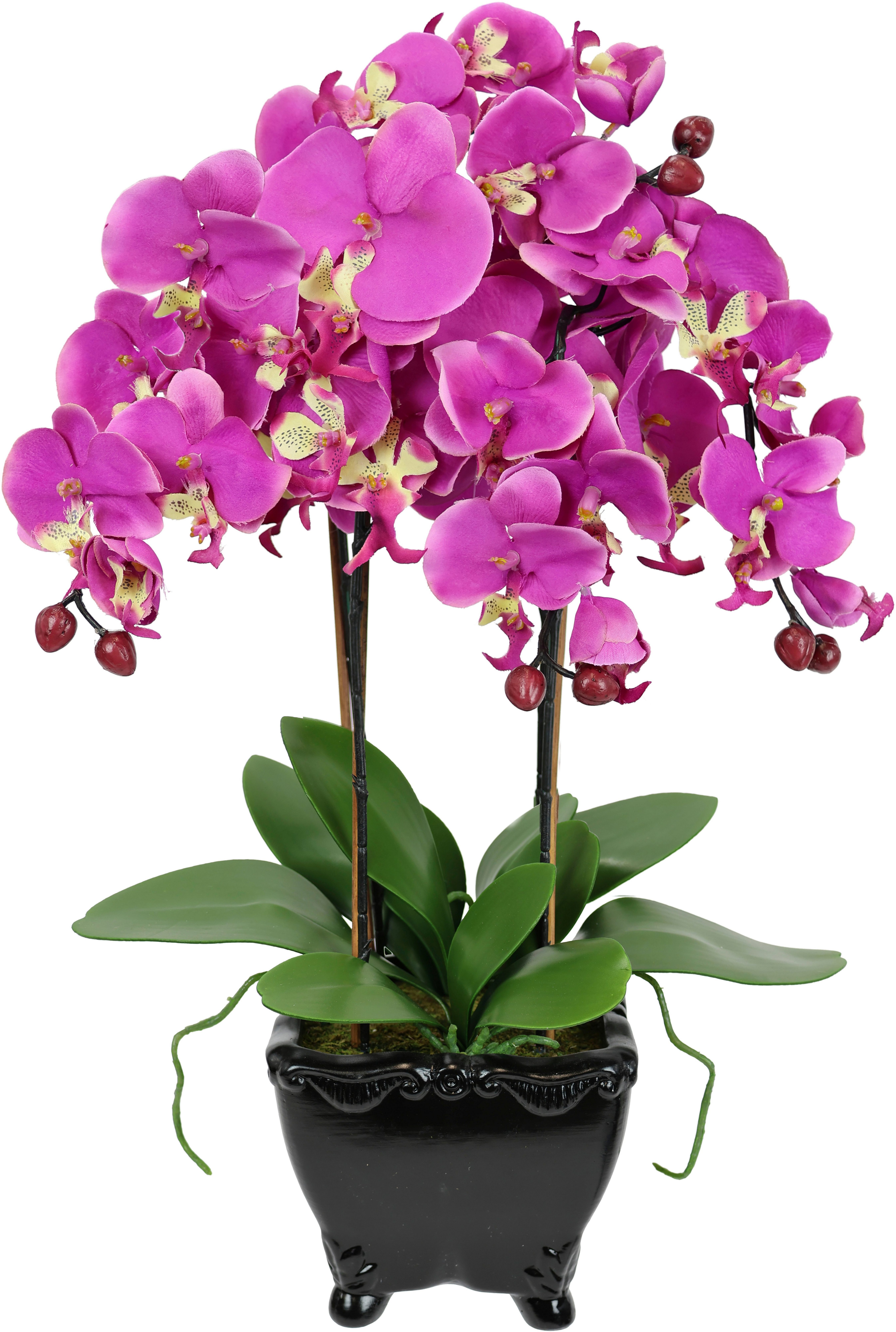 Kunstblume Künstliche Orchidee in Schale Phalaenopsis günstig online kaufen
