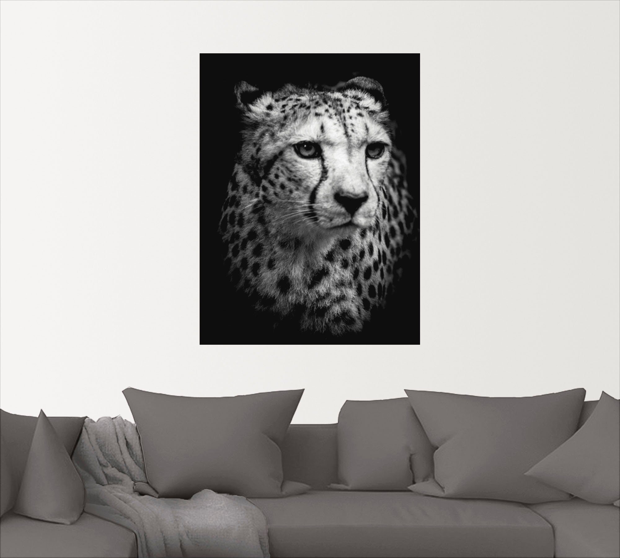versch. als Wandaufkleber Alubild, Leinwandbild, Wildtiere Gepard, in Poster Größen Der Wandbild St), oder (1 Artland