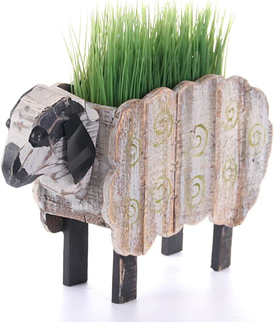 Wackadoo Living Blumentopf Afrika günstig online kaufen