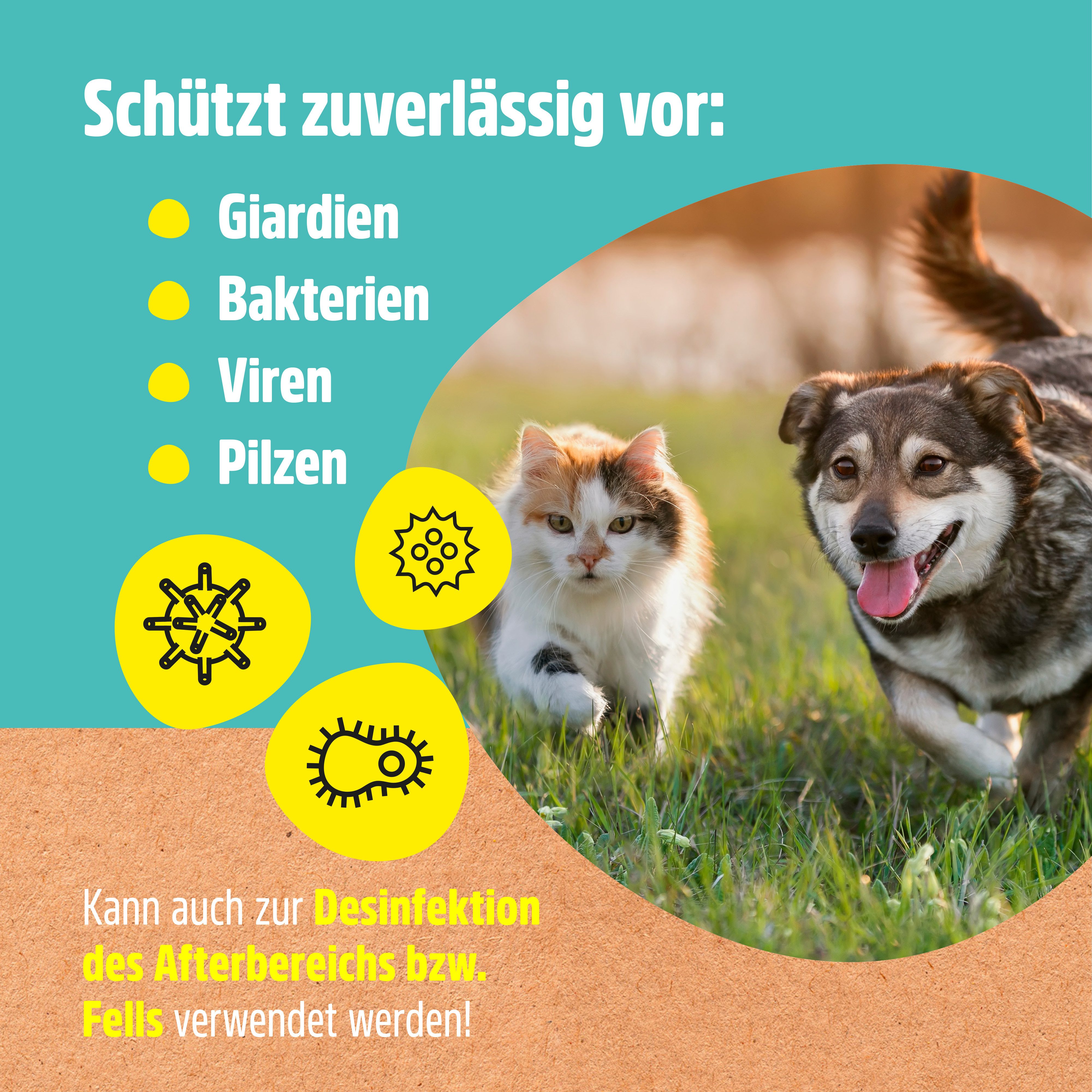 GreenHero Fellpflege Giardien-Ex schützt Hund & Katze vor Bakterien, Viren & Pilzen, 500 ml