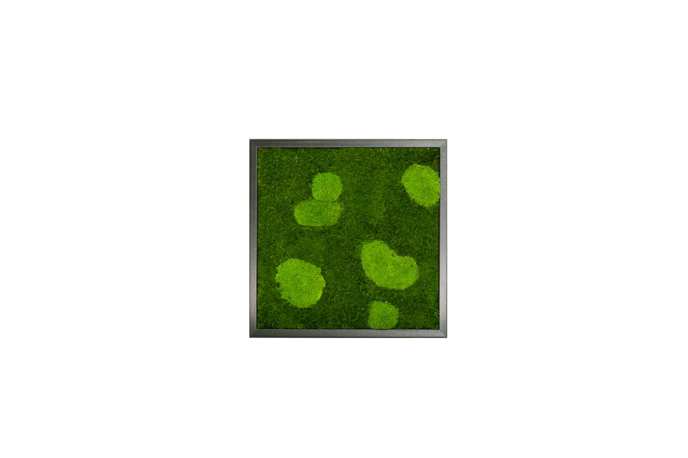 Moos-Design Bilderrahmen Moos Bild Forest Design günstig online kaufen