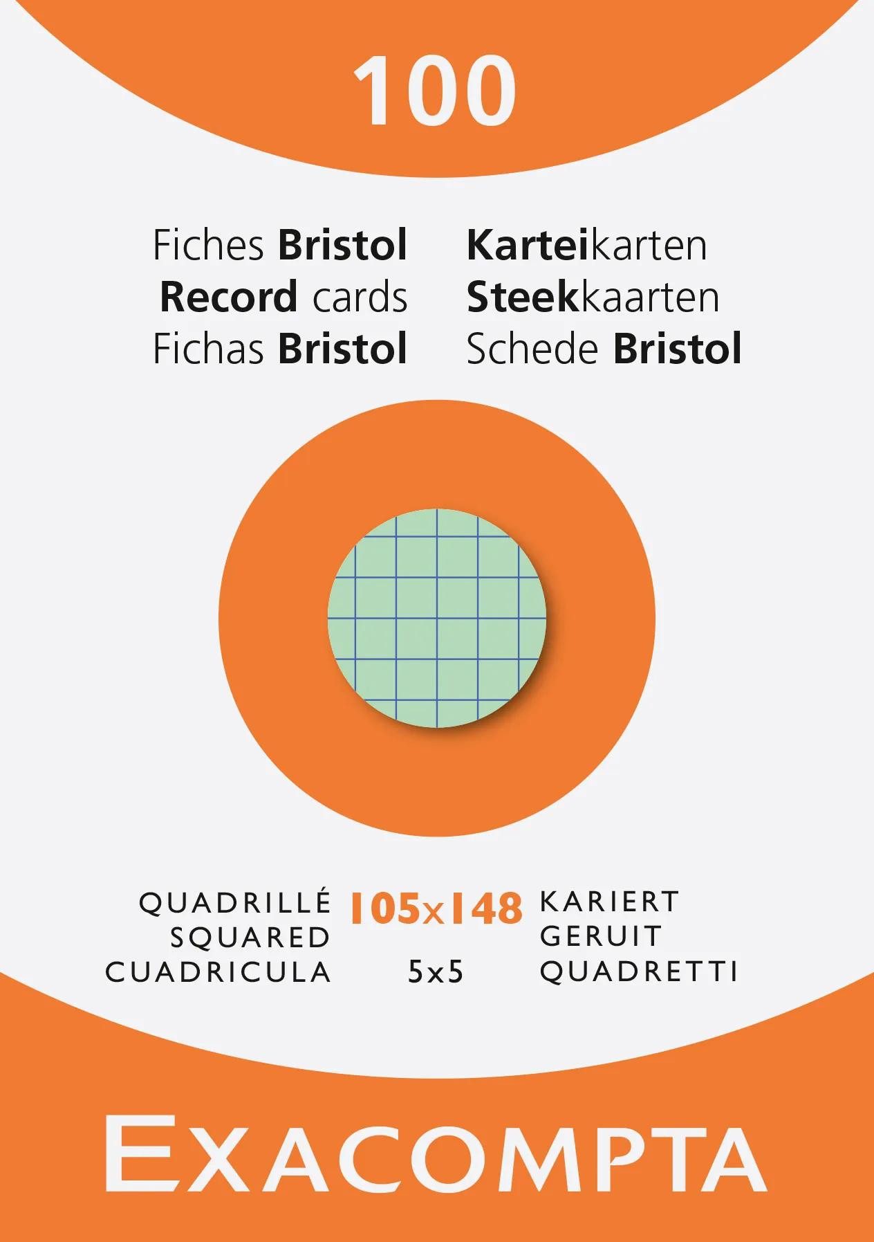 EXACOMPTA Karteikarten 10x Karteikarten A6 kariert Faltschachtel + 100 Stück sortiert 13479E, Karteikarten kariert