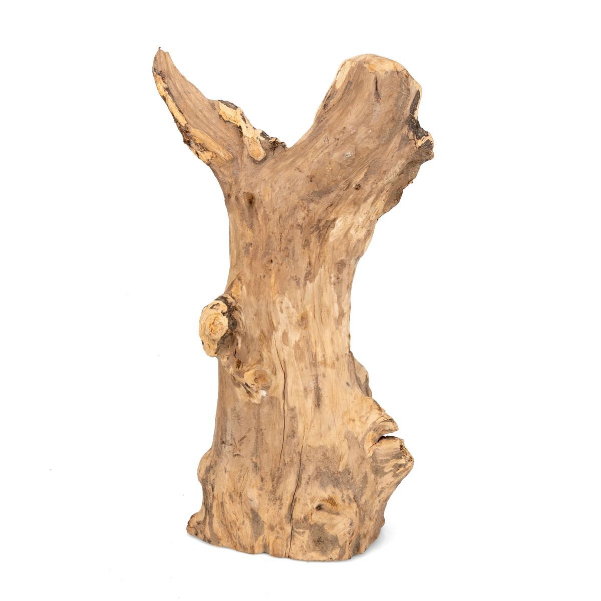 NaDeco Bastelnaturmaterial Teak Wurzel stehend, Höhe ca. 25-35cm, Durchmesser  ca. 10-15cm