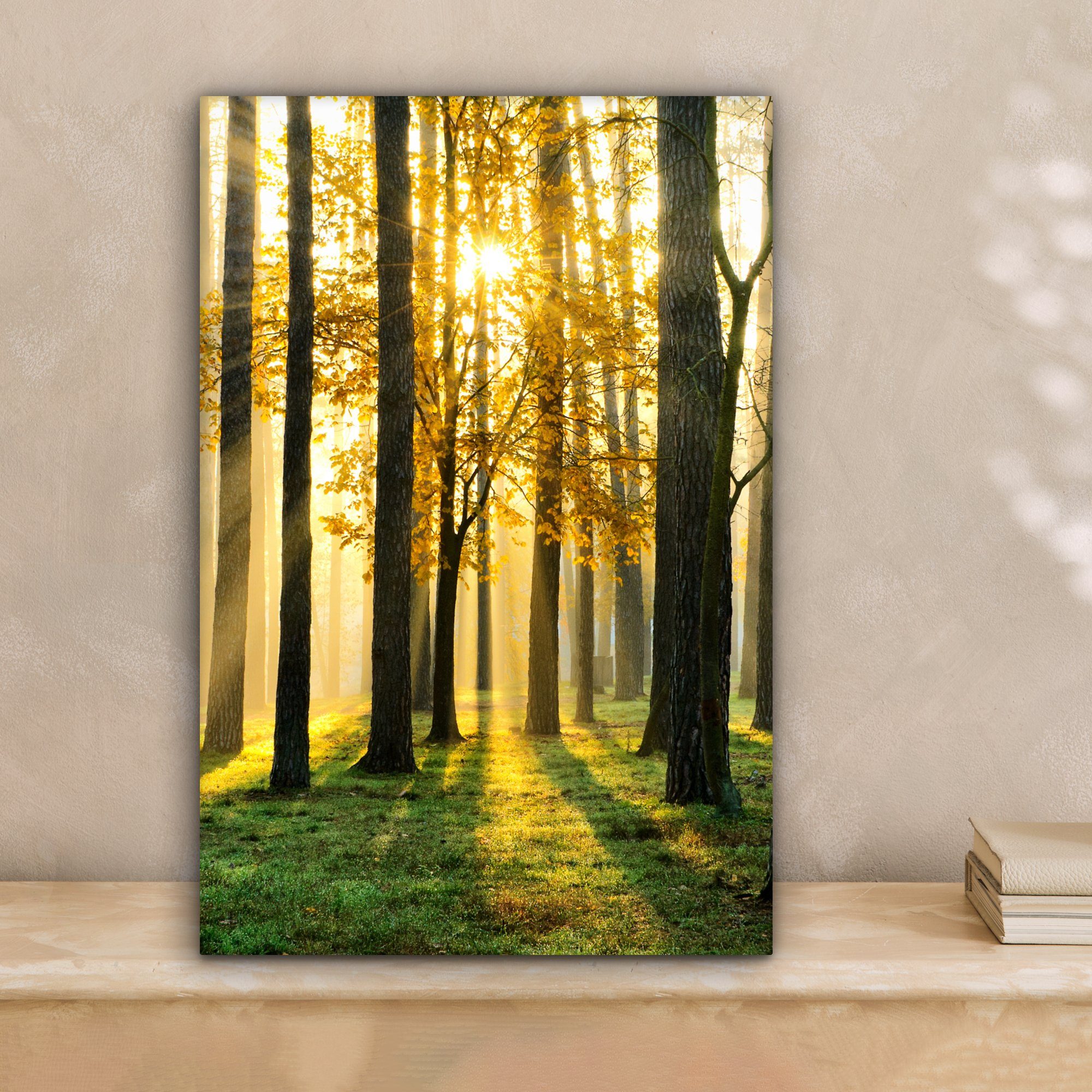 OneMillionCanvasses® Leinwandbild Wald - Sonne - günstig online kaufen
