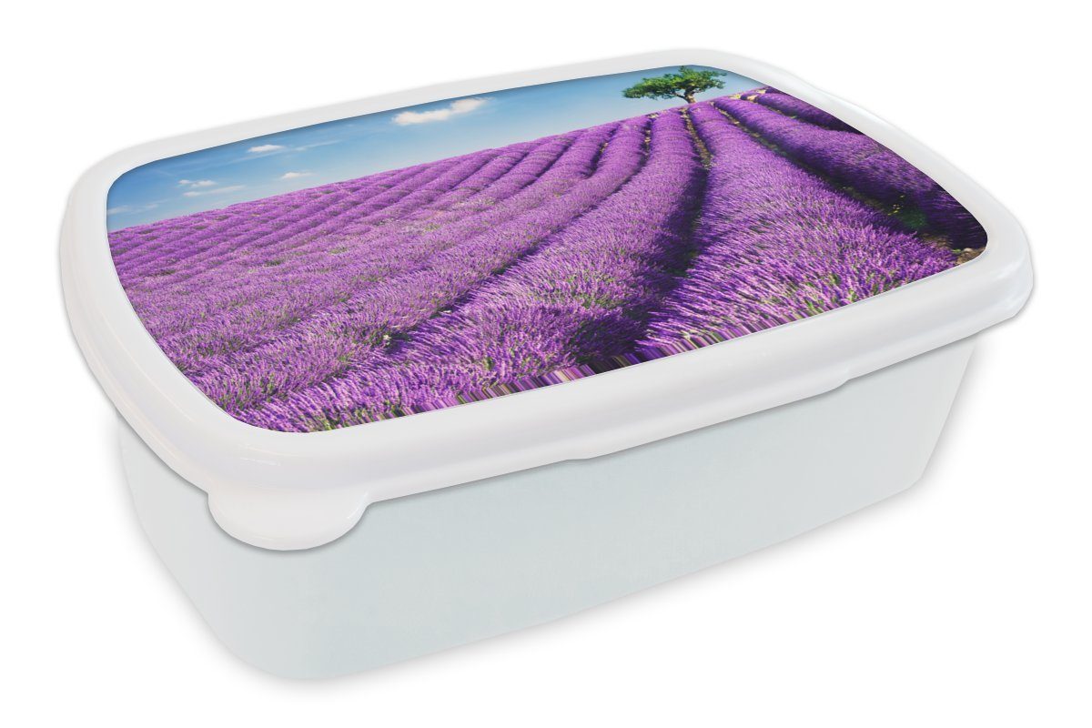Baum, Brotdose, mit Erwachsene, Lunchbox Lavendelhügel weiß für Kinder Rollende Kunststoff, für MuchoWow einem und Mädchen Jungs (2-tlg), Brotbox und