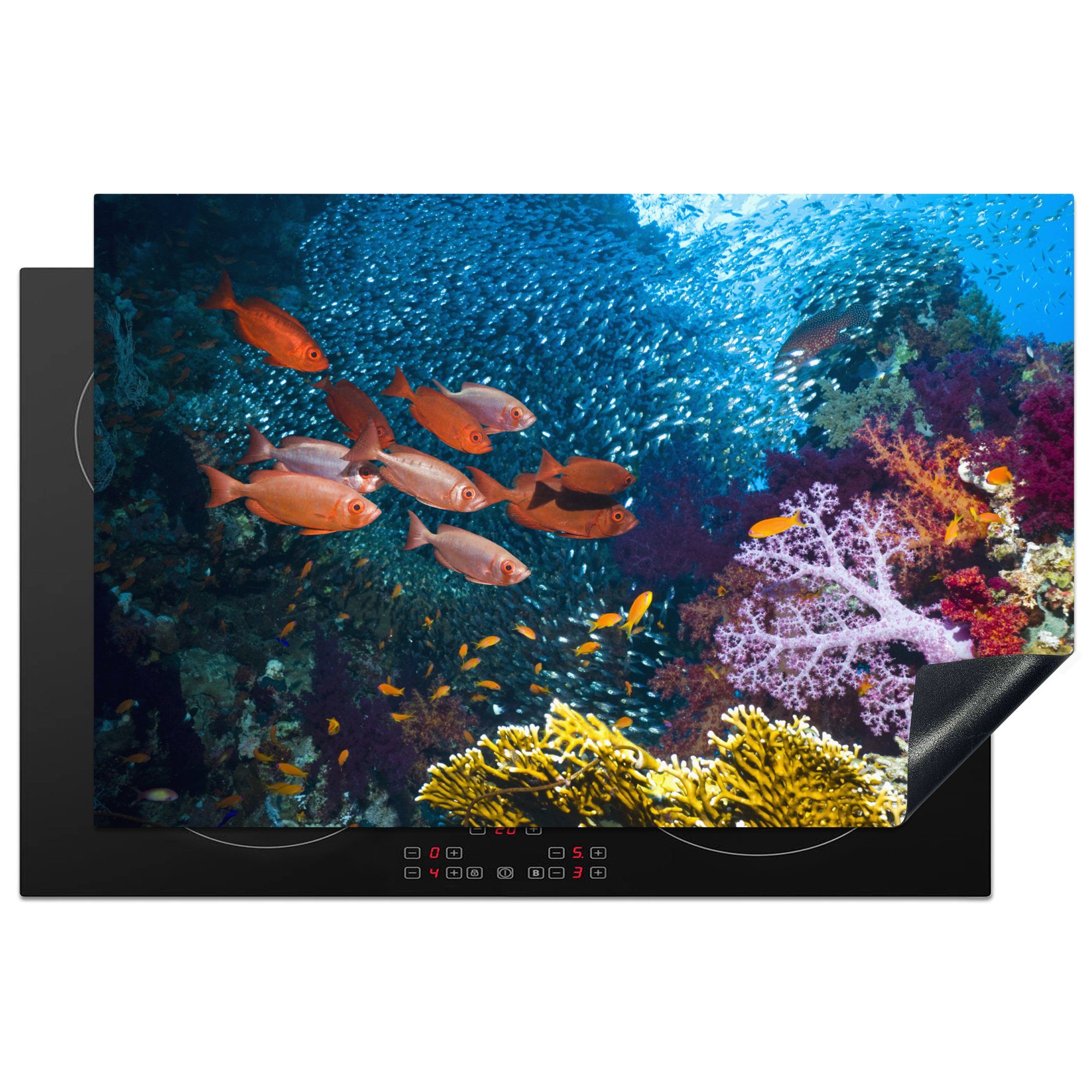 MuchoWow Herdblende-/Abdeckplatte Orangene Fische in einem Korallenriff, Vinyl, (1 tlg), 81x52 cm, Induktionskochfeld Schutz für die küche, Ceranfeldabdeckung | Herdabdeckplatten