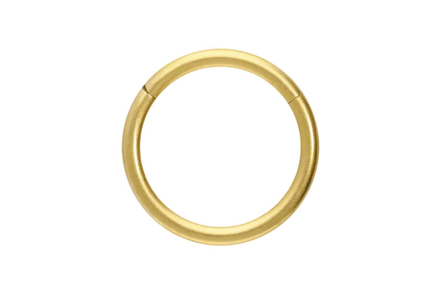 PIERCINGLINE Nasenpiercing Titan Segmentring Clicker MATT Ohrpiercing Septu günstig online kaufen