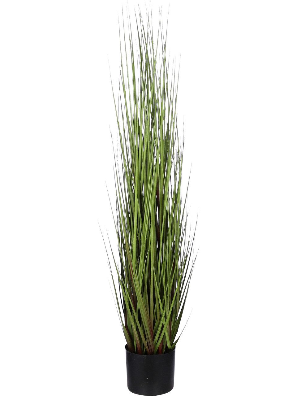 Kunstpflanze Mica Kunstpflanze Gras in Topf grün 115 x 35 cm