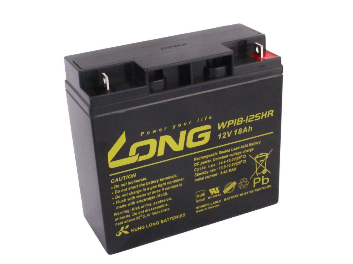 Long Kung AGM 12V wartungsfrei ersetzt Bleiakkus NP15-12 Batterie 18Ah