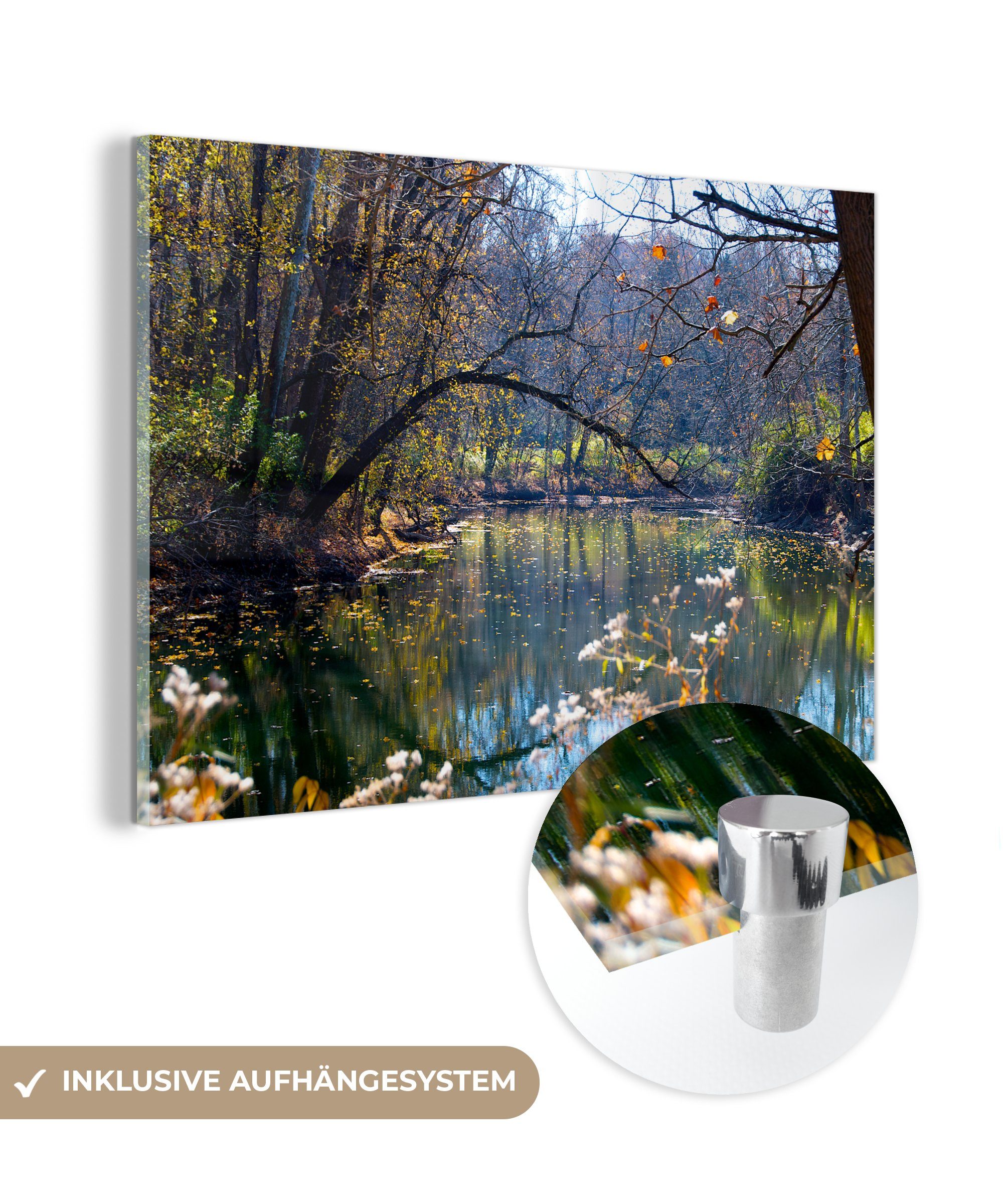 MuchoWow Acrylglasbild Fluss im Wald, (1 St), Acrylglasbilder Wohnzimmer & Schlafzimmer