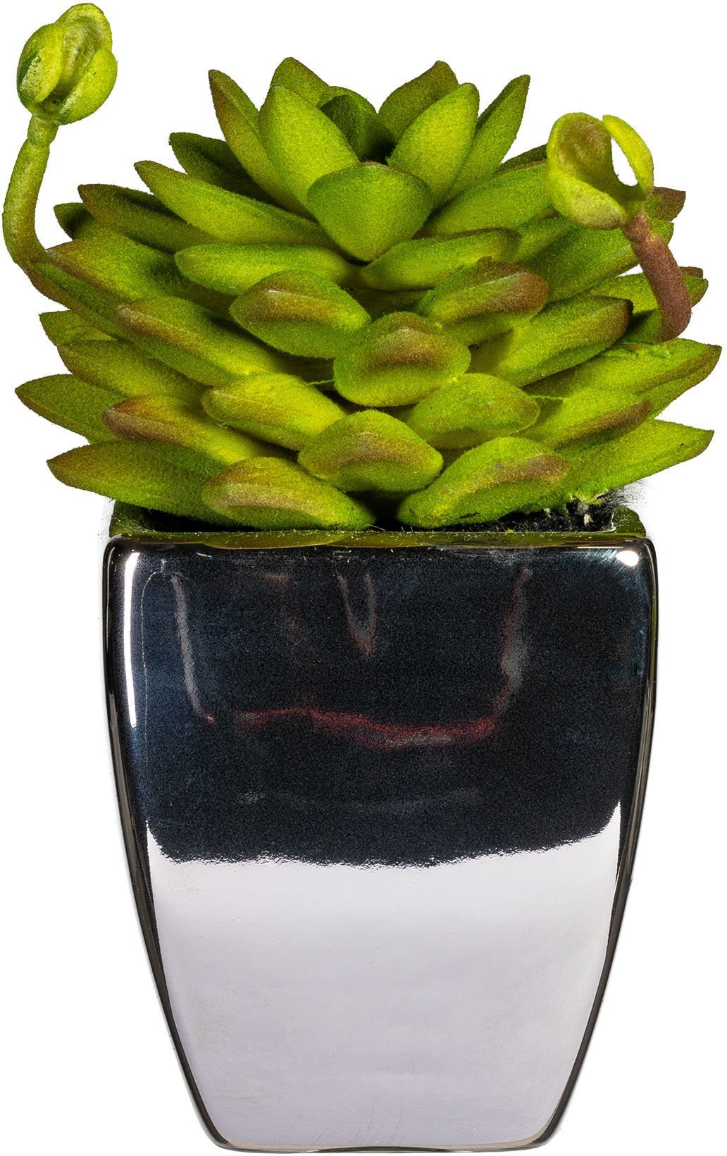 Kunstpflanze Loreen Sukkulente, Leonique, Höhe 13 cm, im Topf, 3er Set